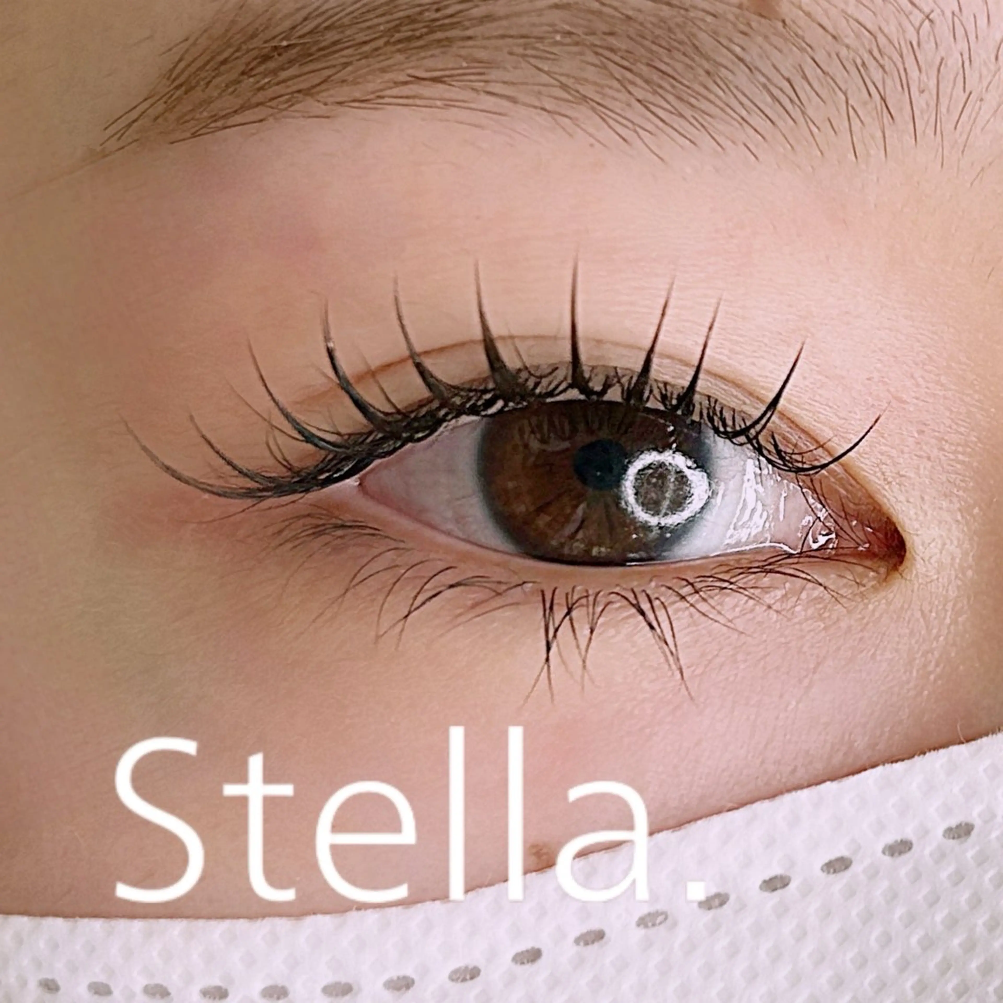 マツエク・マツパ フラットラッシュ Stella.✨ Ikedaのマツエク・マツパデザイン