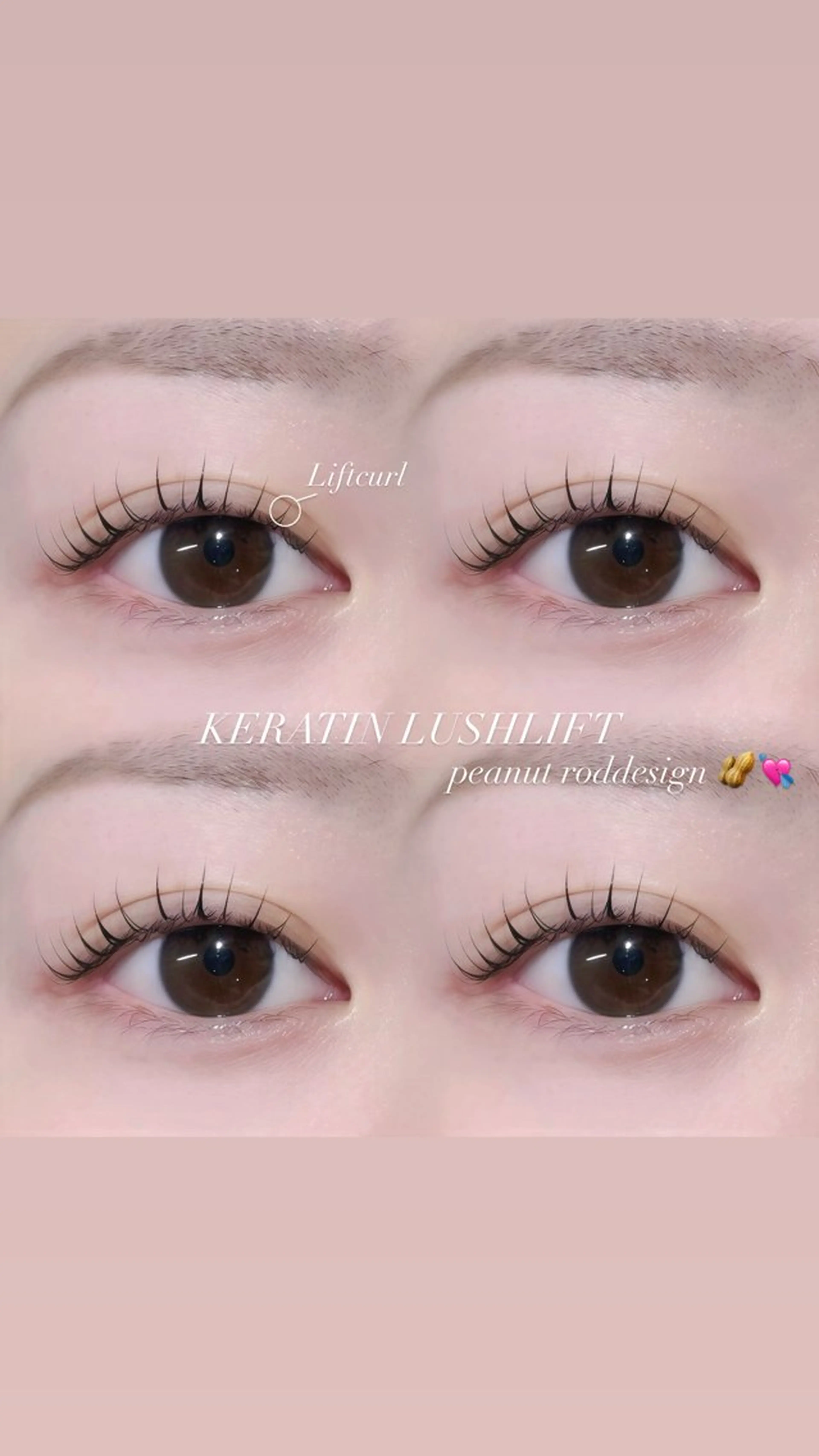 🎀12月限定！ケラチンラッシュリフト🎀  立ち上げカール《アイシャンプー＋コーティング剤仕上付き》の写真