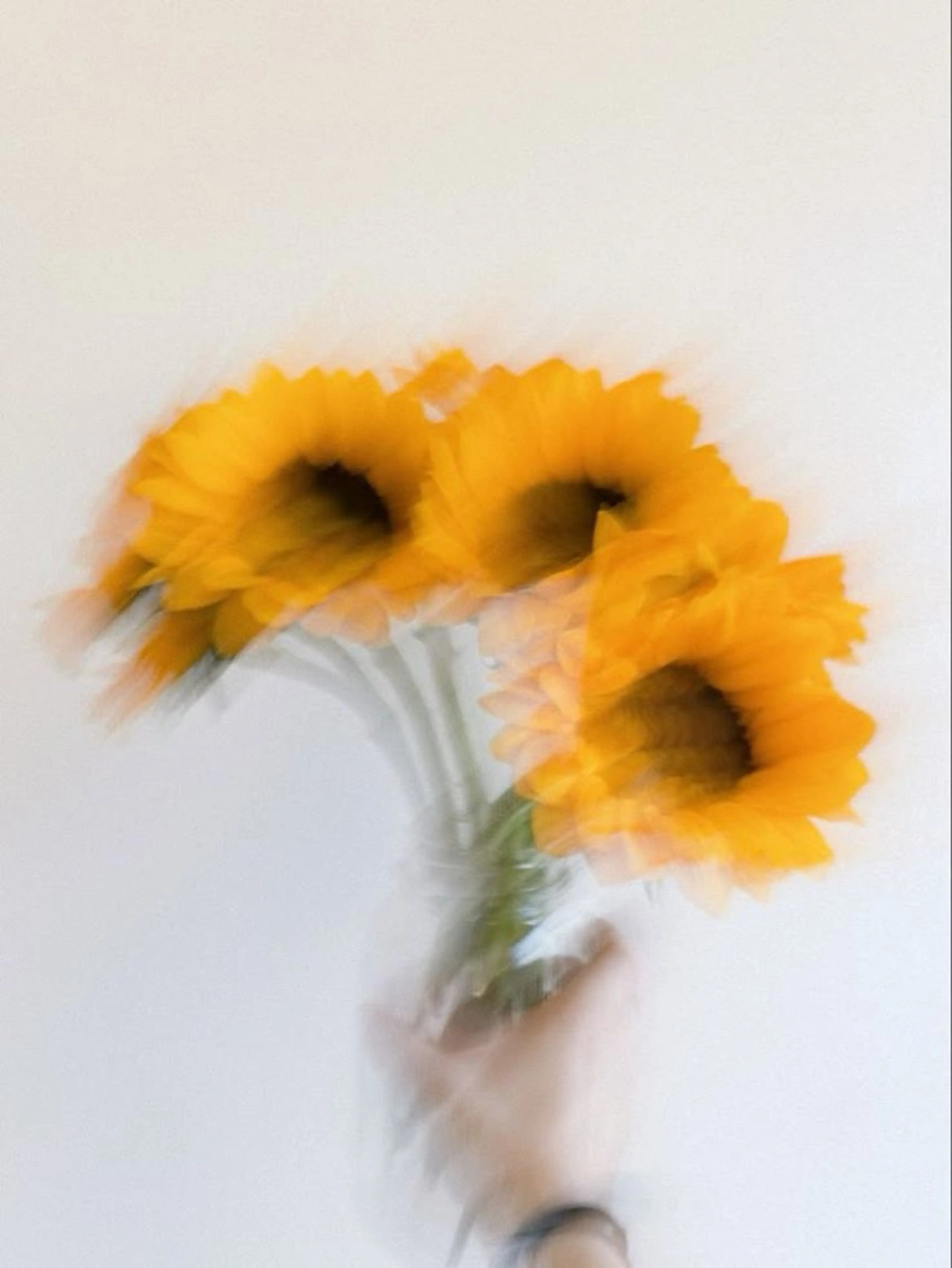 カット トリートメント 小野 龍樹のヘアスタイル