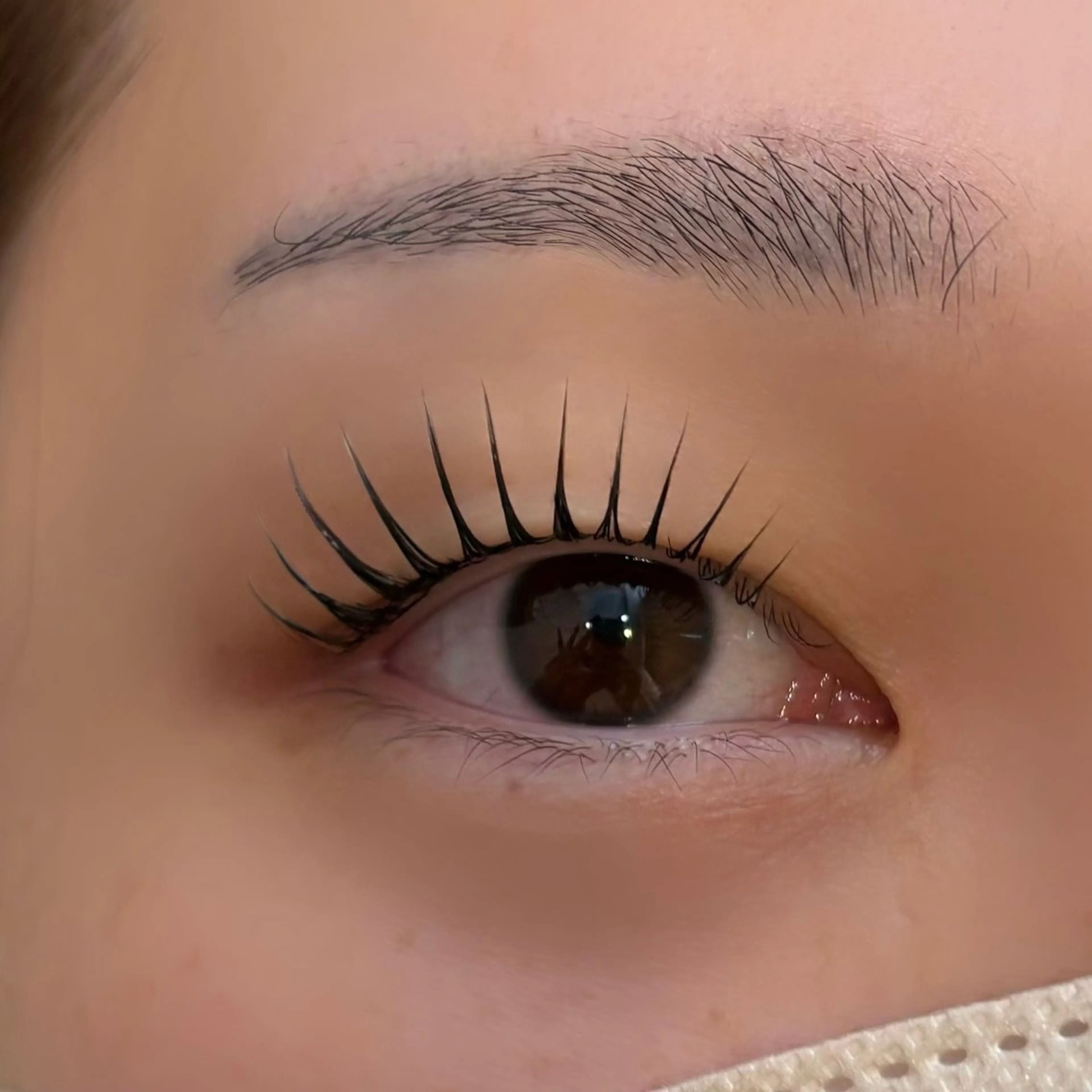 上まつげパーマ【パリジェンヌorラッシュリフト】の写真
