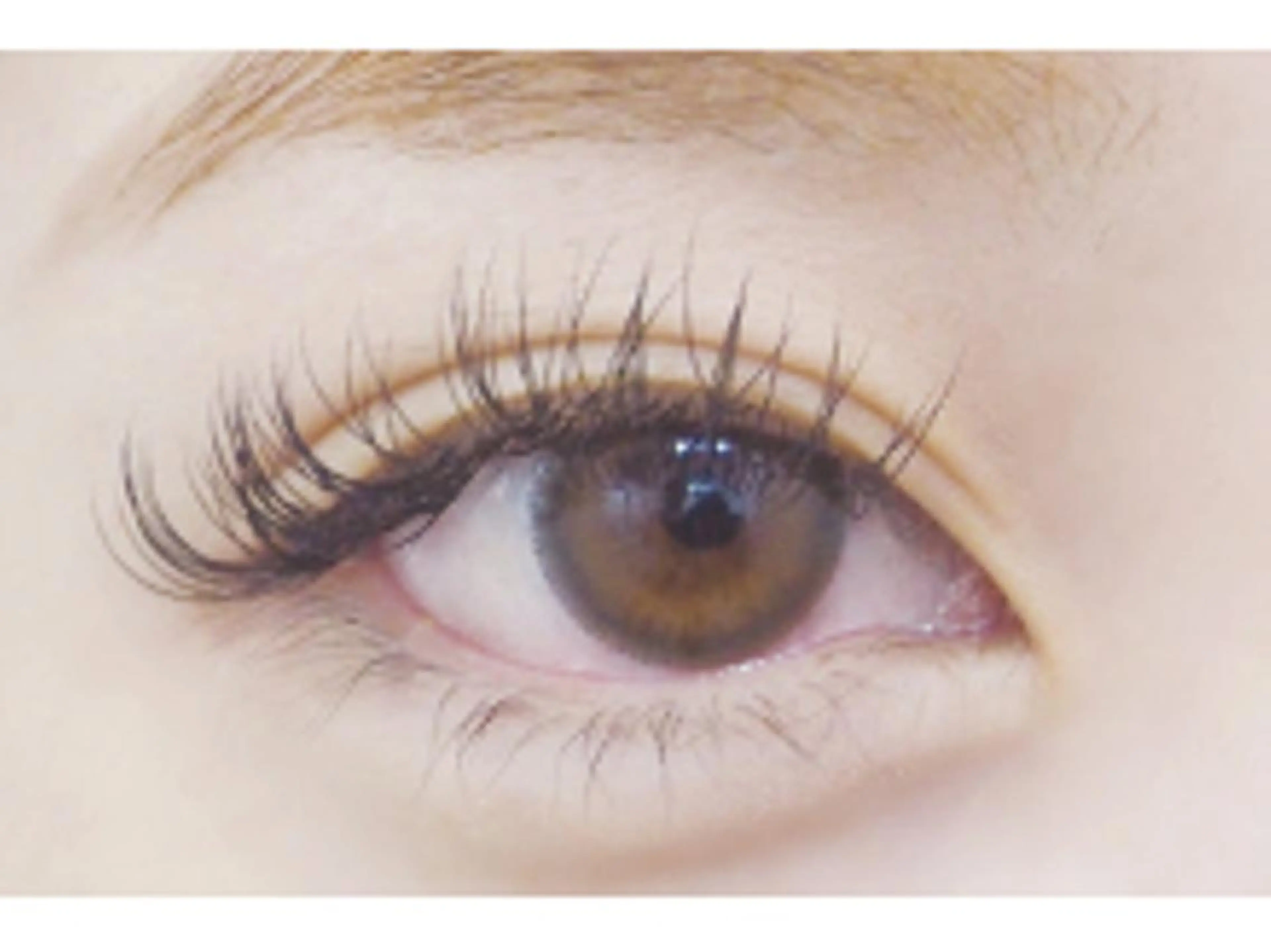 マツエク・マツパ Dカール セーブル glee 川口駅前店のマツエク・マツパデザイン