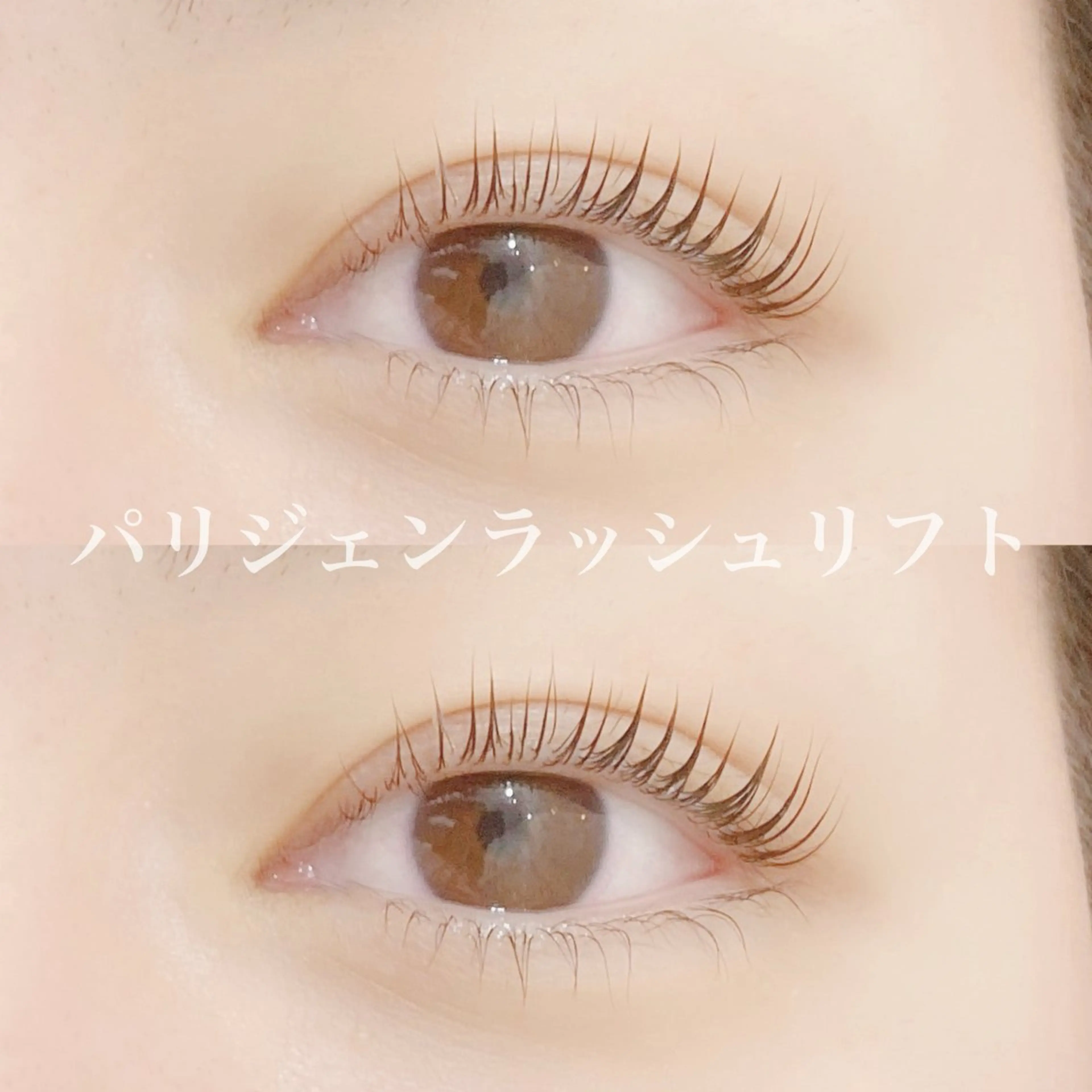 【🌸本日特別価格🌸】パリジェンヌラッシュリフトの写真