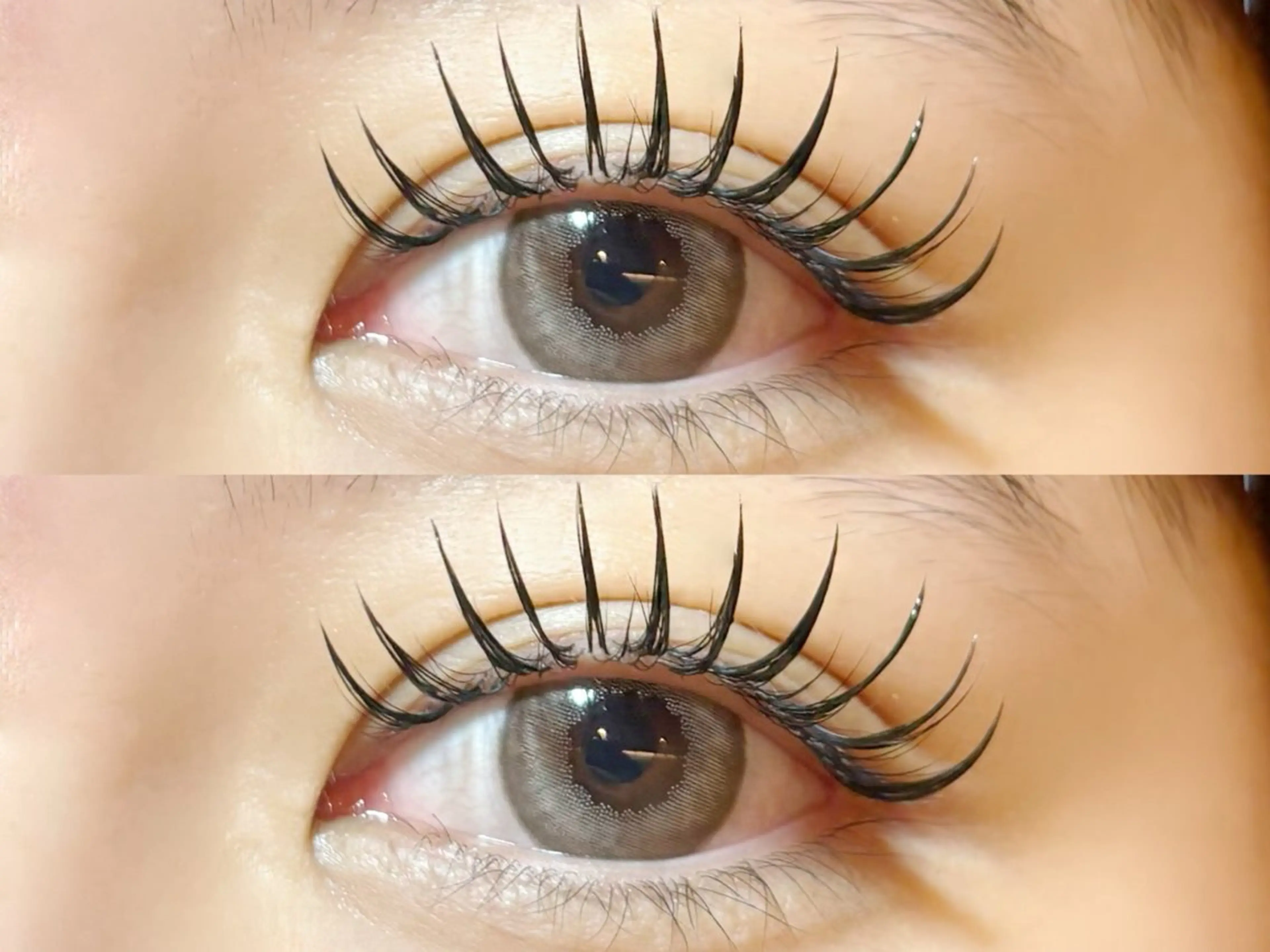 パリエク パリジェンヌ×バインドロック60束  再来+1000円 ⸜❤︎⸝‍の写真