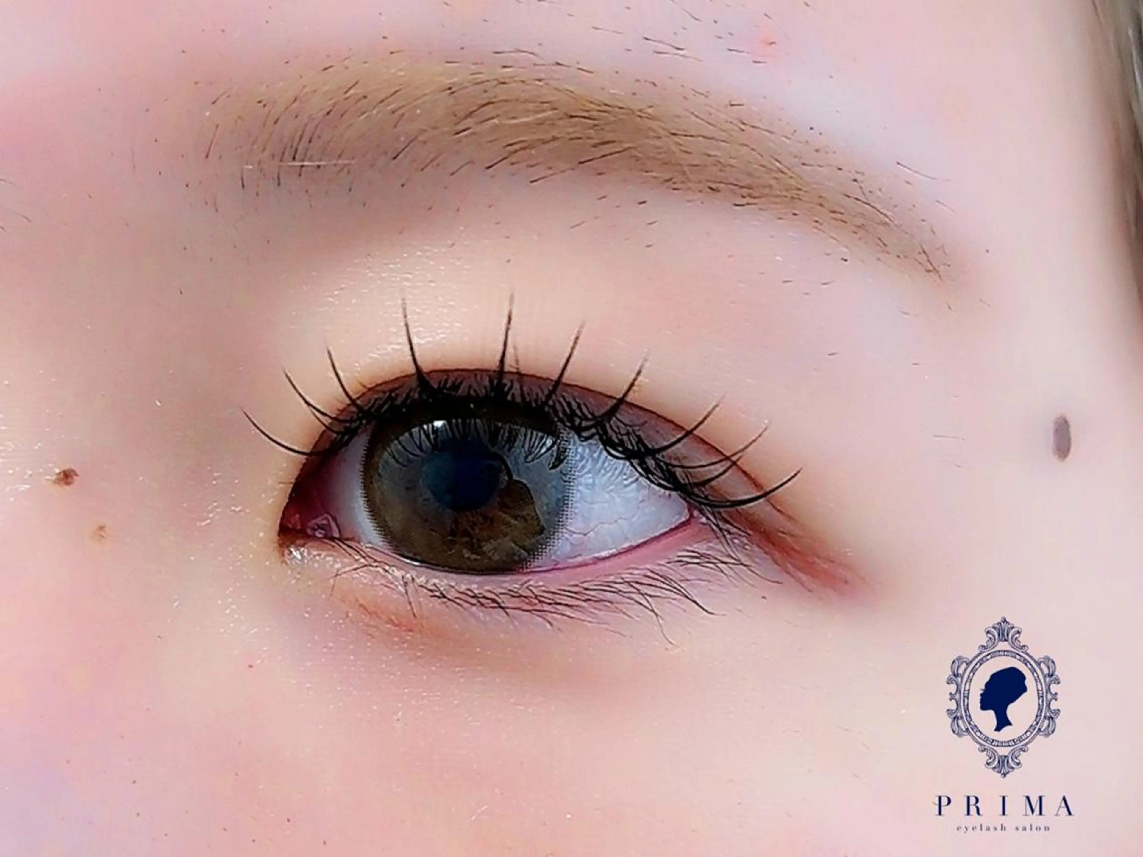 マツエク・マツパ 韓国風マツエク ☆日付限定価格あり☆ ホウシのマツエク・マツパデザイン