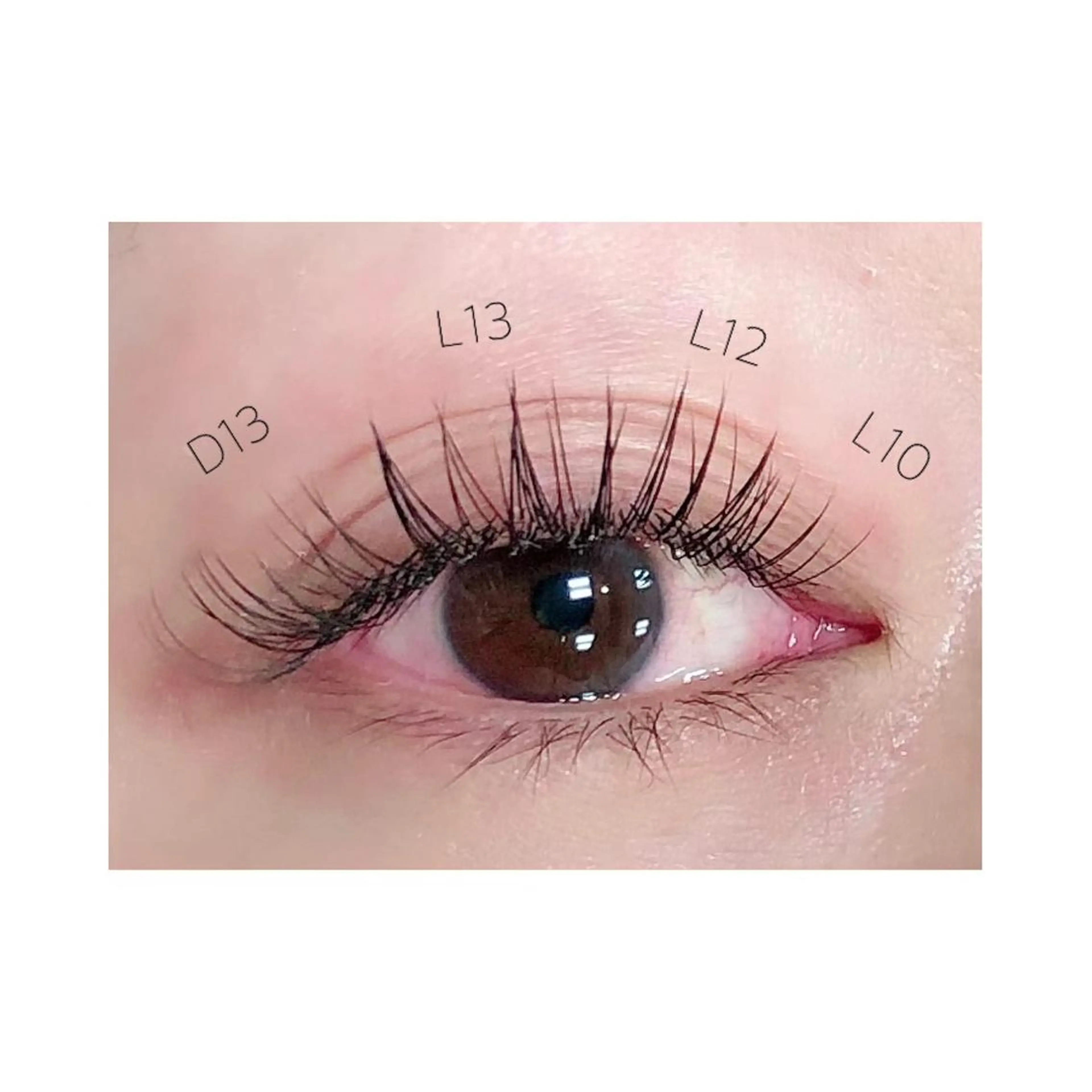 マツエク・マツパ Lカール EYE CARRY ⋆.✶🖤のマツエク・マツパデザイン