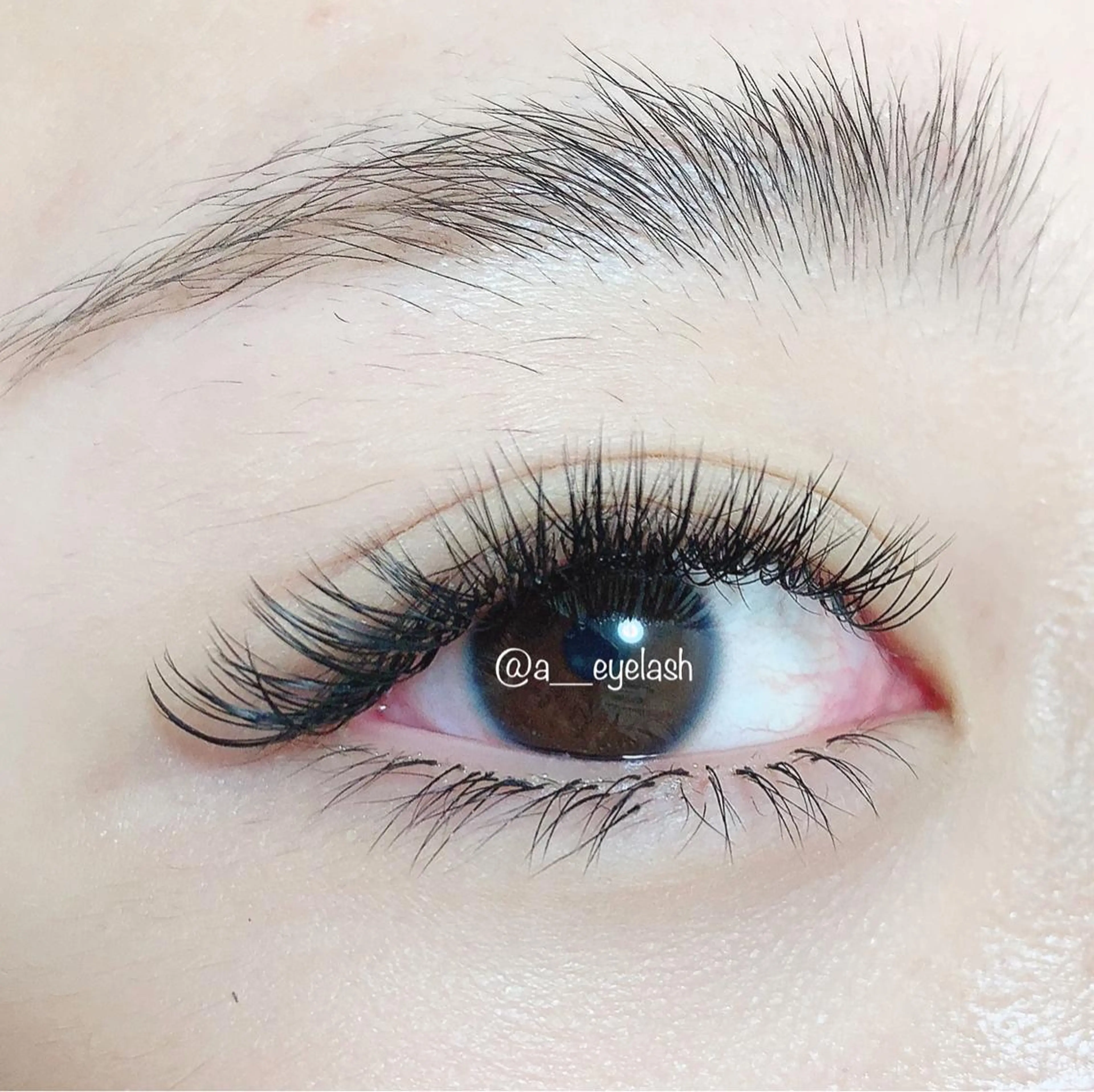 下まつ毛付け放題の写真