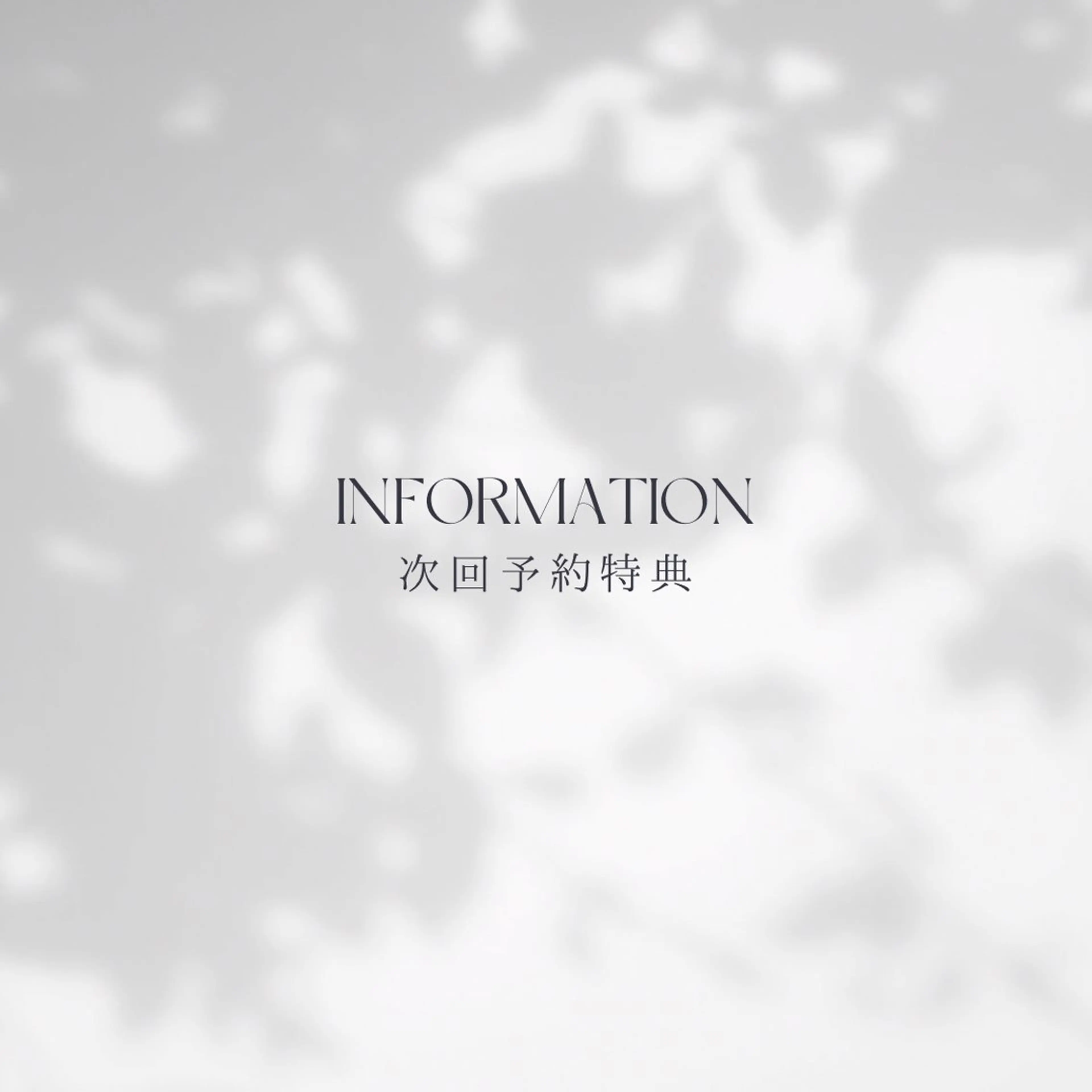 マツエク・マツパ TREE 筒井紫歩のマツエク・マツパデザイン