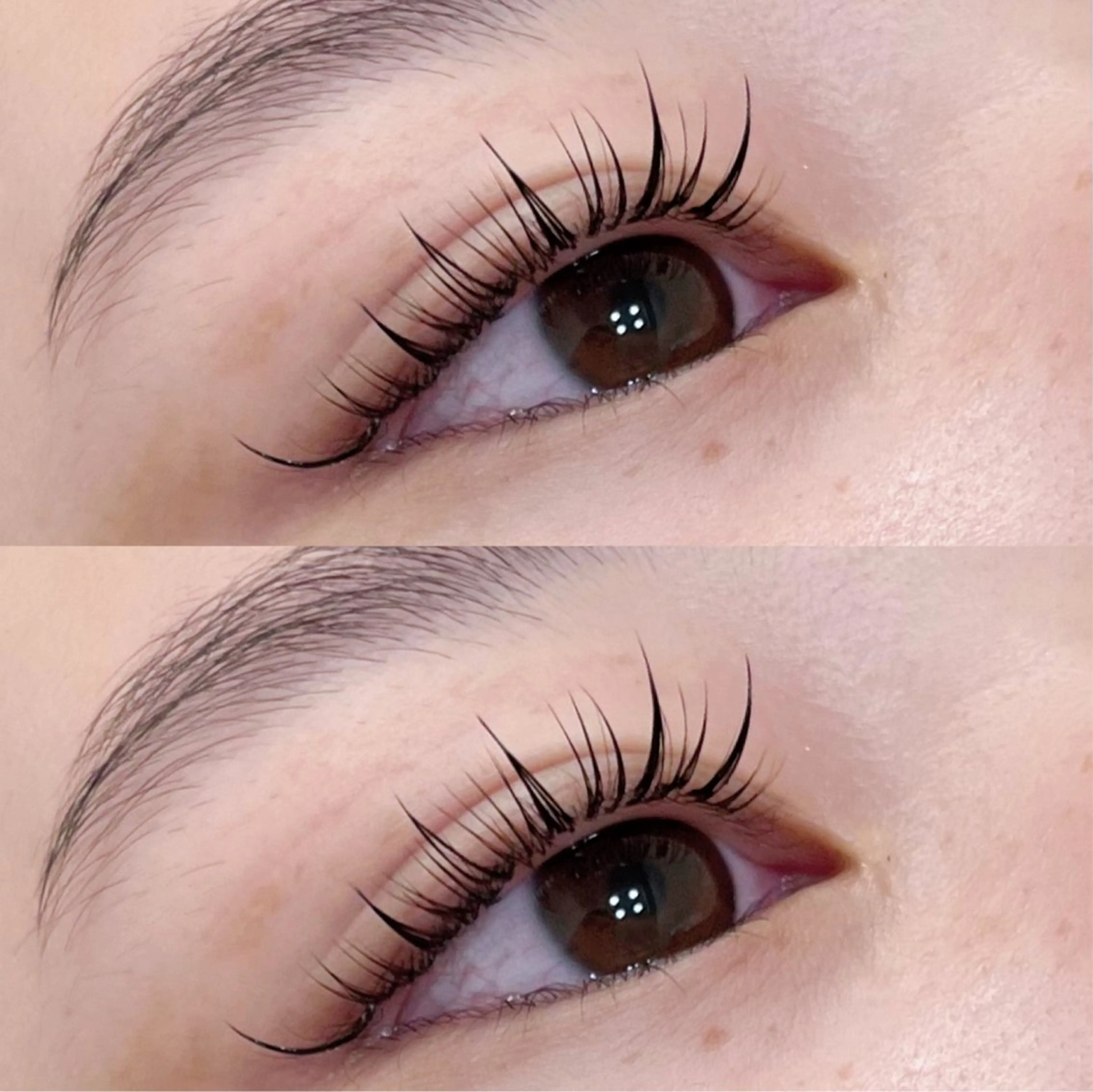 ワンホンマツエク🎀100~120本🎀LED+¥500オフ+¥1000の写真