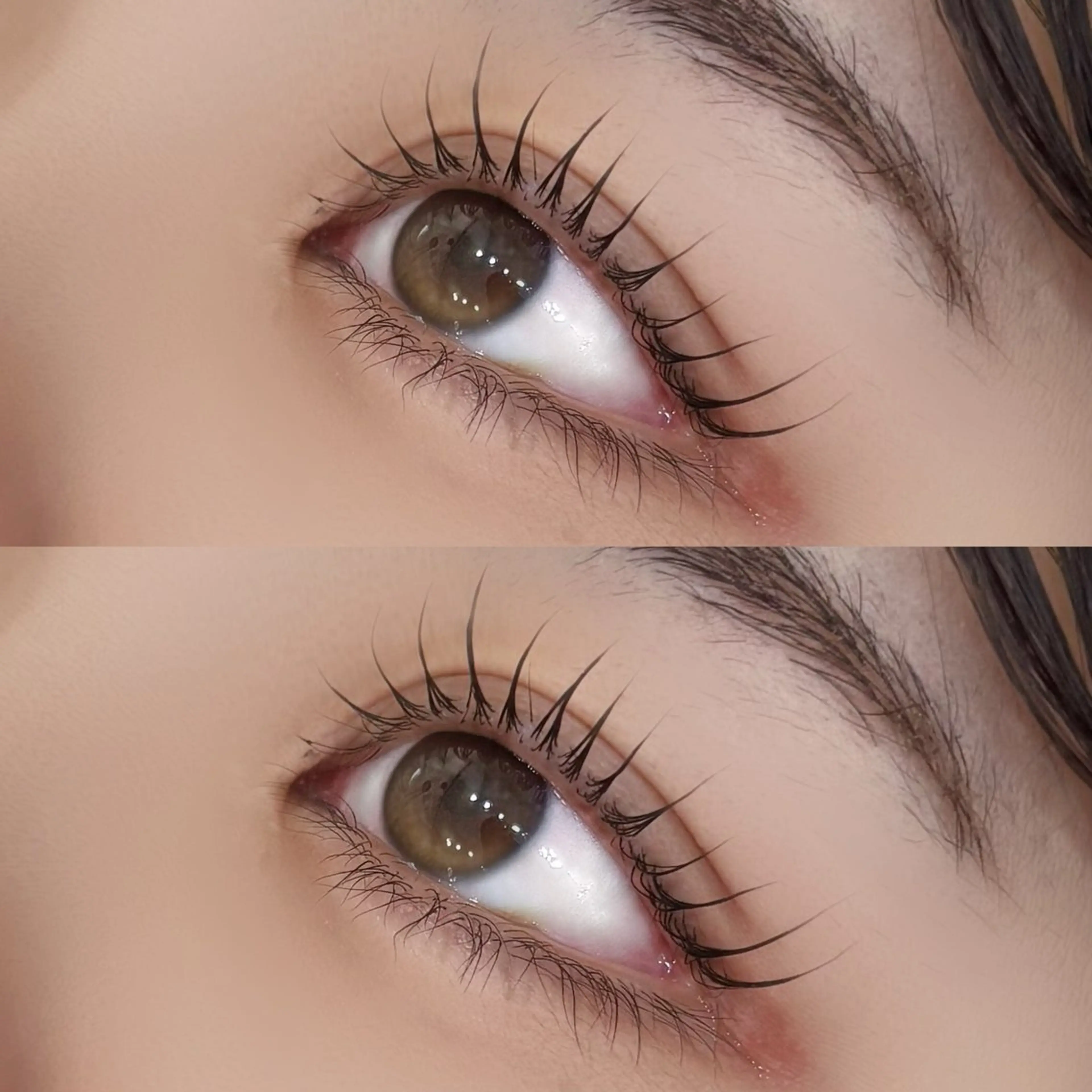 【simba open記念】パリジェンヌラッシュリフト🇫🇷💕の写真