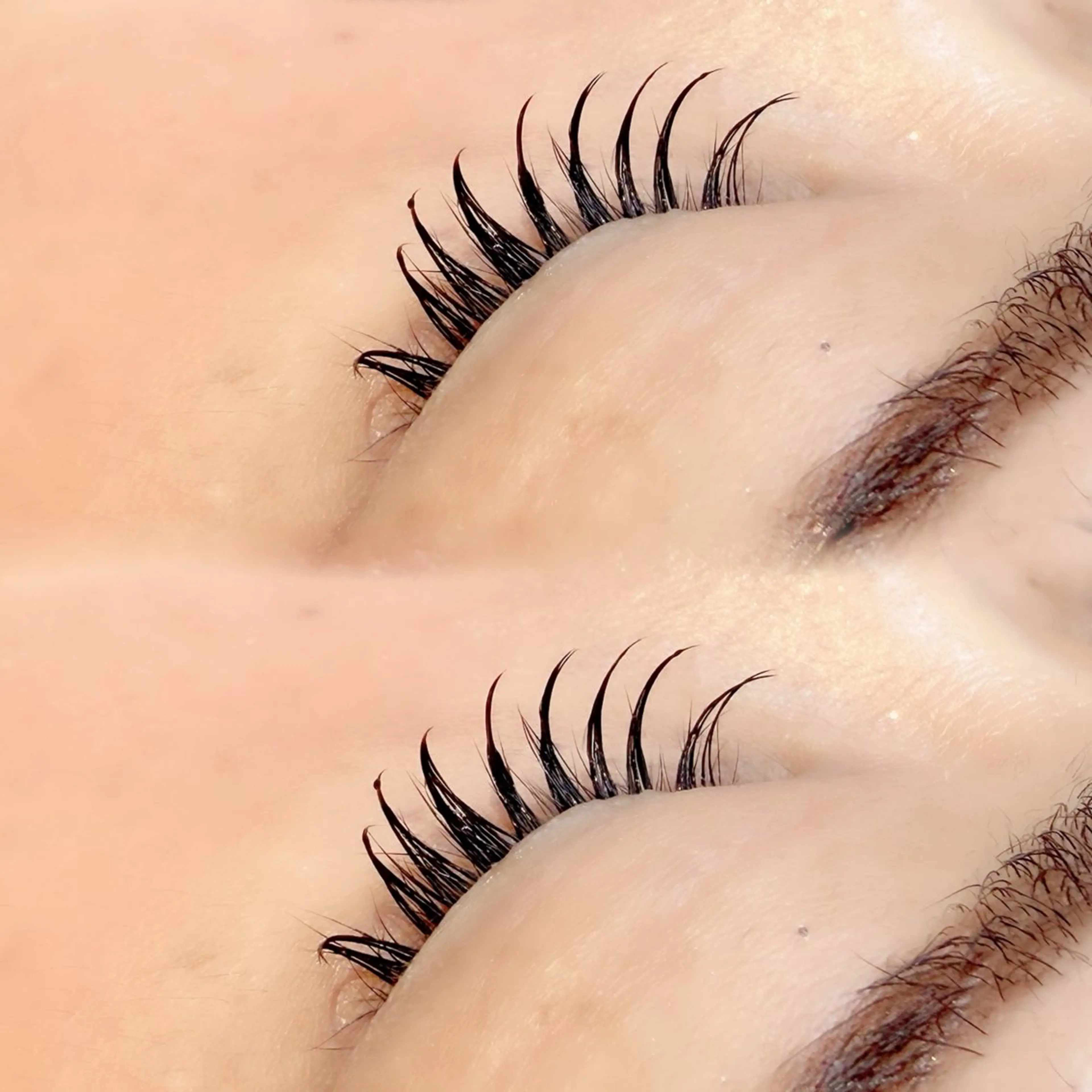 マツエク・マツパ フラットラッシュ Moana　eyelash by HEADLIGHT 武蔵小杉店所属・momoka .⋆𝜗𝜚の眉毛・アイブロウイメージ