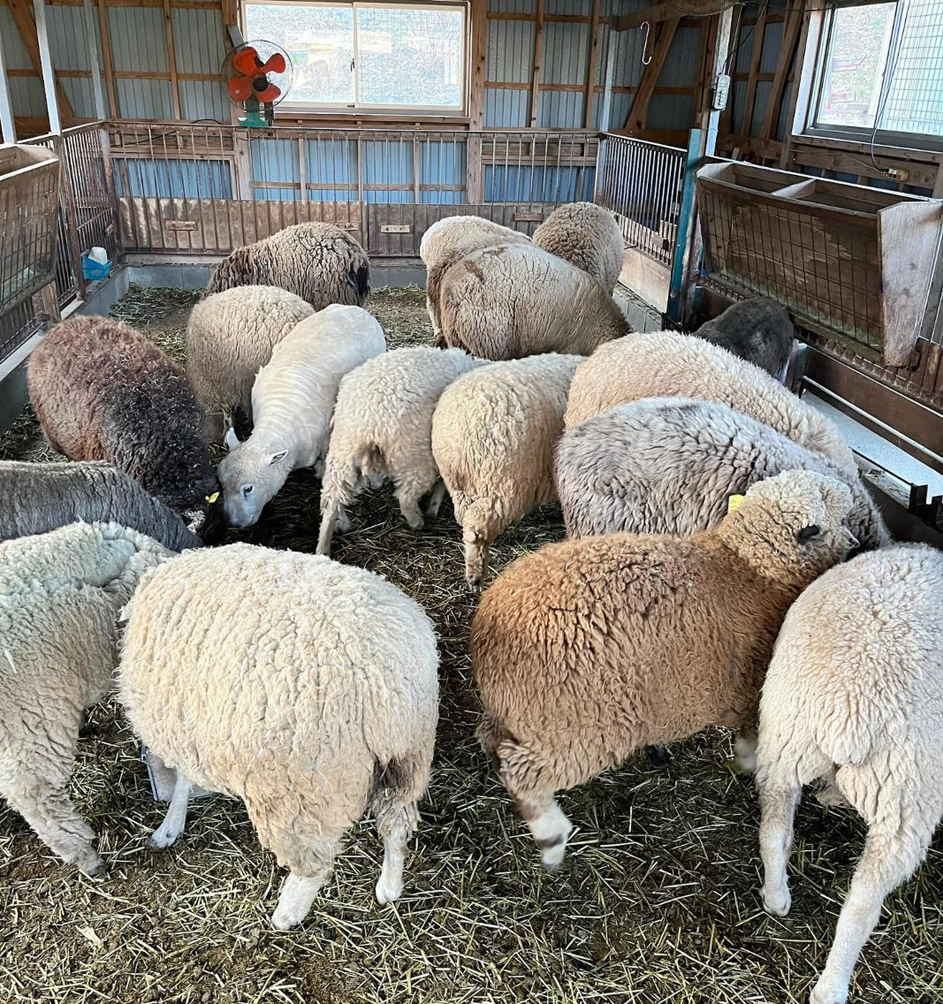 ミディアム カラー ヘアアレンジ ベージュカラー グレージュ ハイライトカラー ミルクティーベージュ くせ毛 韓国/髪質改善💘 櫻井かれんのヘアスタイル