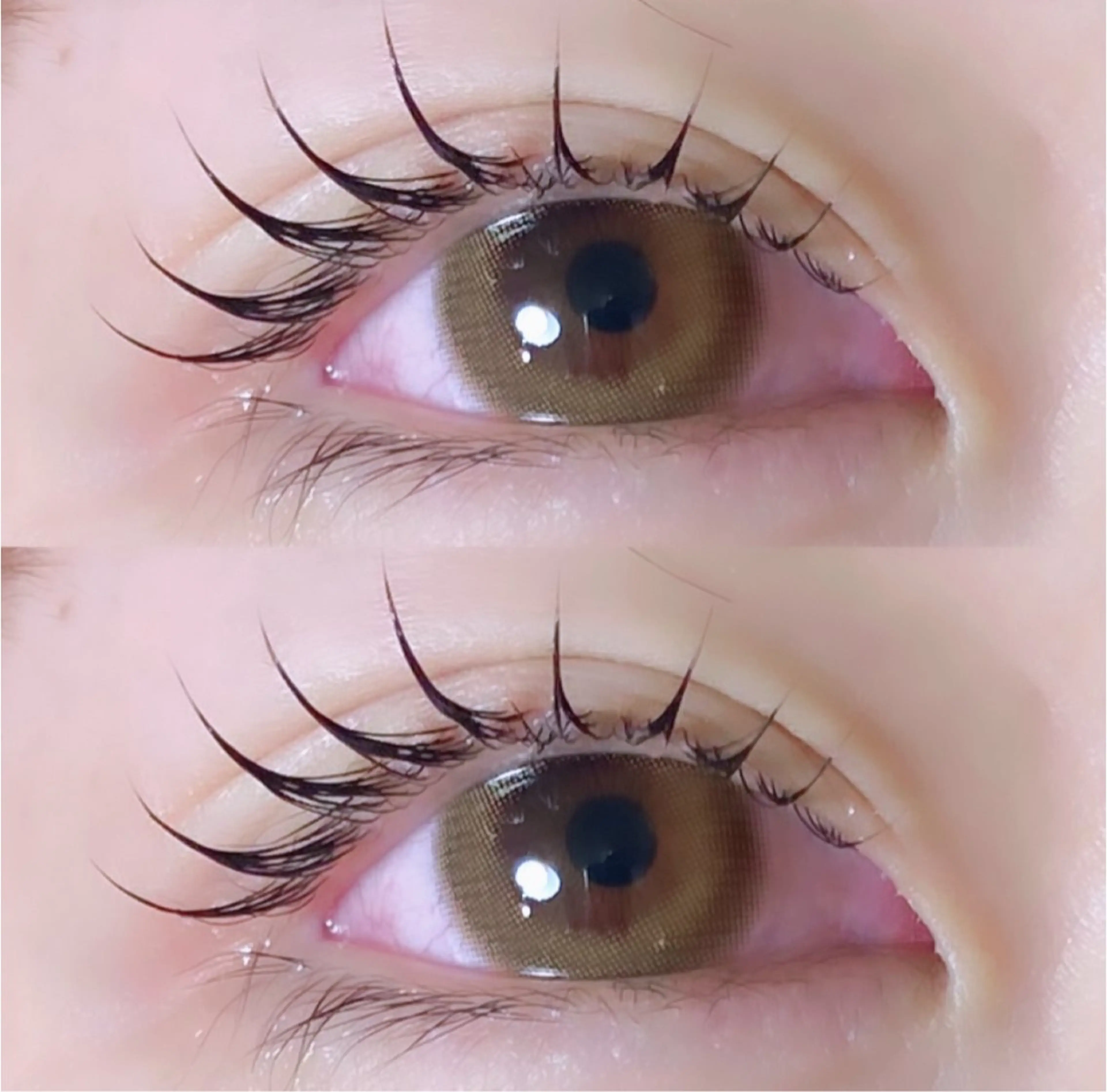 🎀まつげパーマ🎀束感CT付き🎀ミニモ限定価格🌟の写真