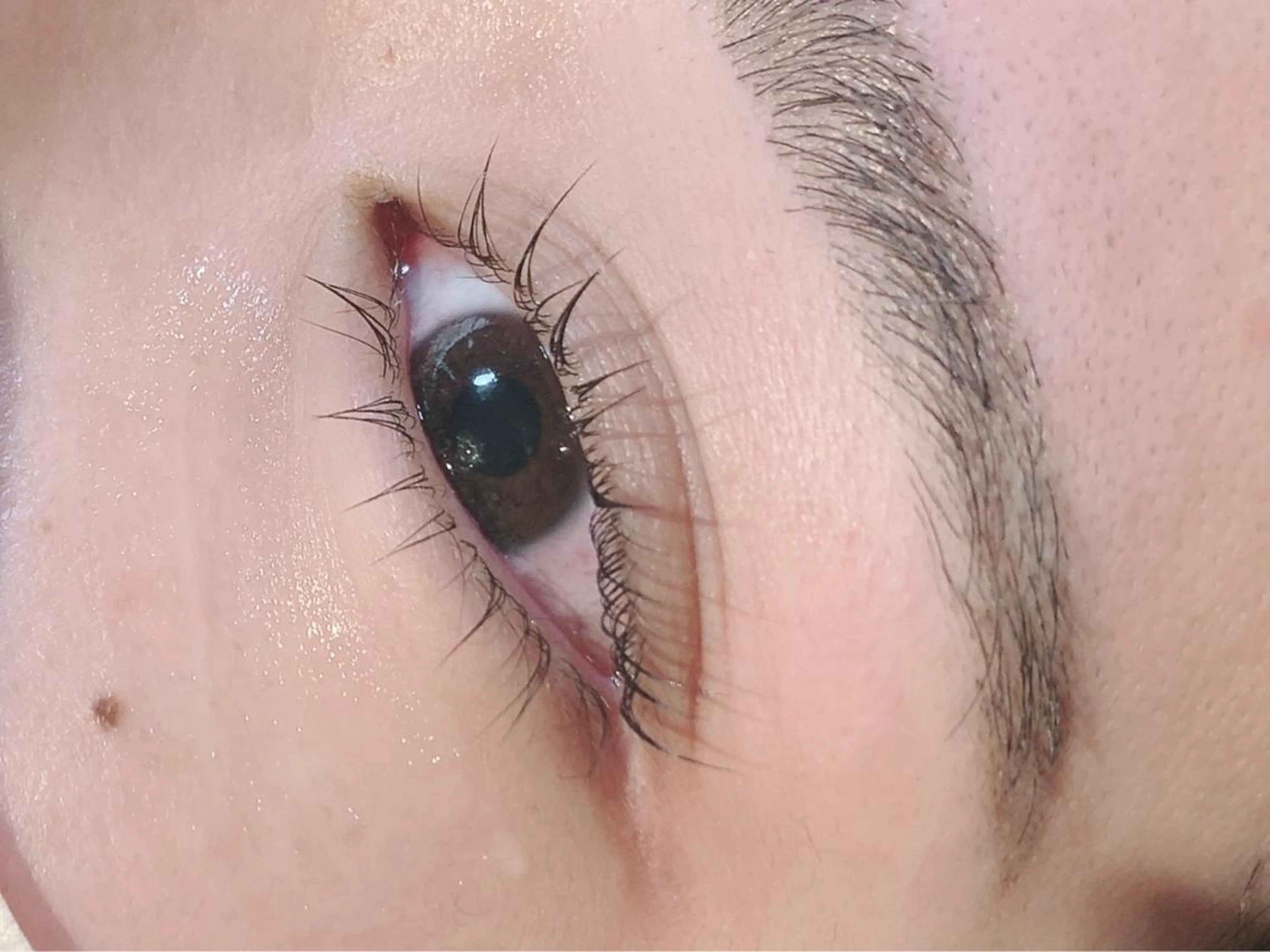 マツエク・マツパ NaTuRaL eyelash齋藤の眉毛・アイブロウイメージ