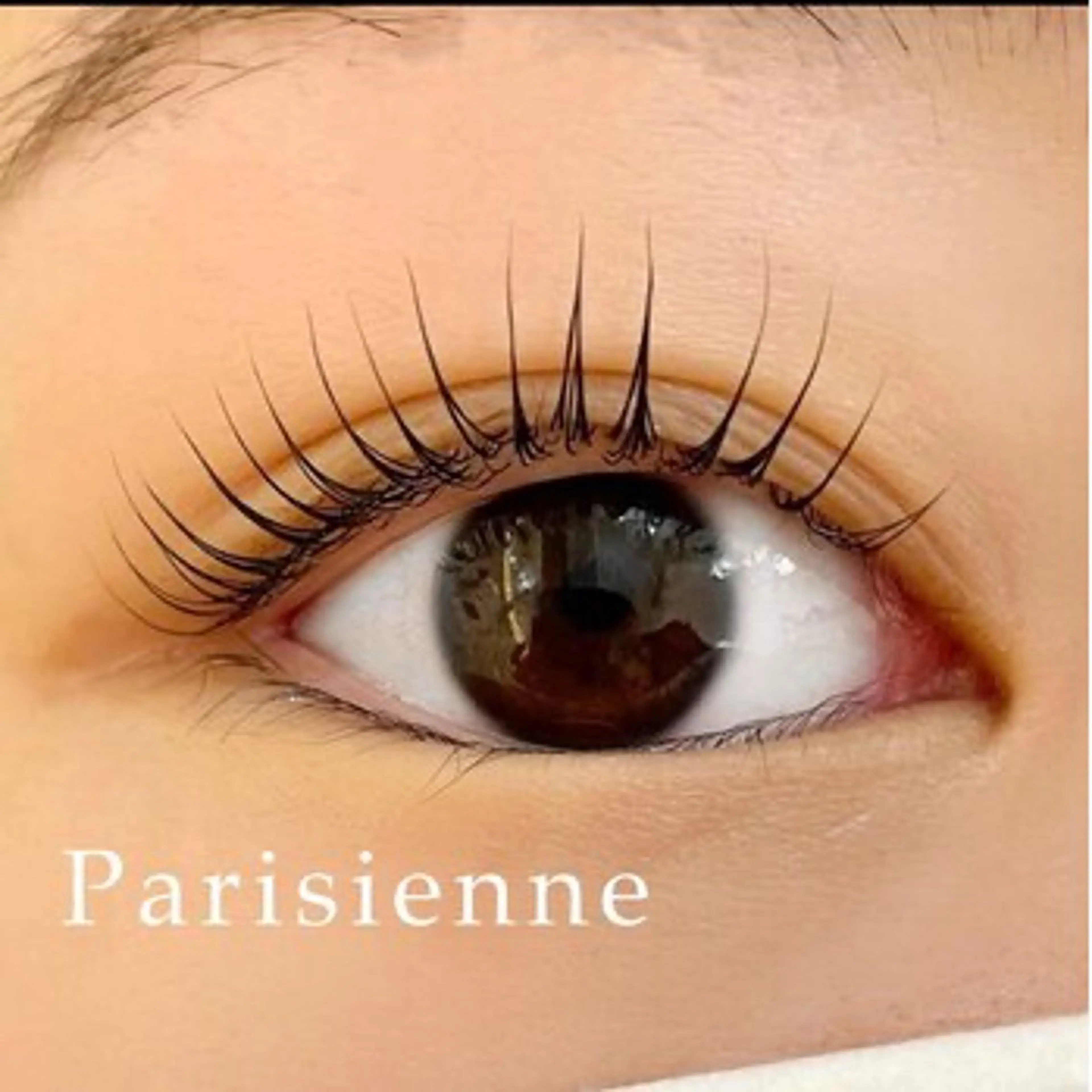 上パリジェンヌモデル　12/26までにご来店の方　限定の写真