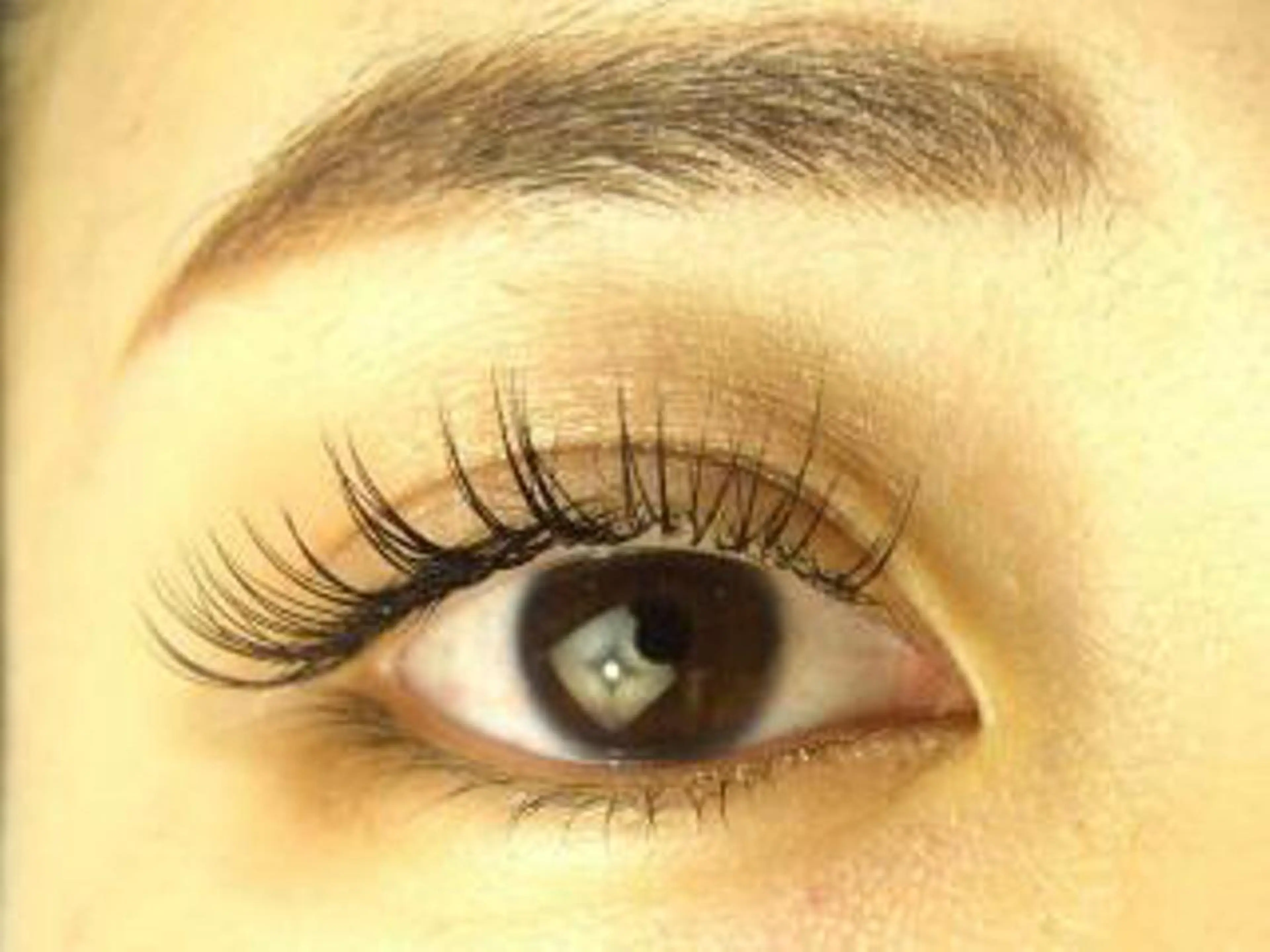 マツエク・マツパ Nest 三田のマツエク・マツパデザイン