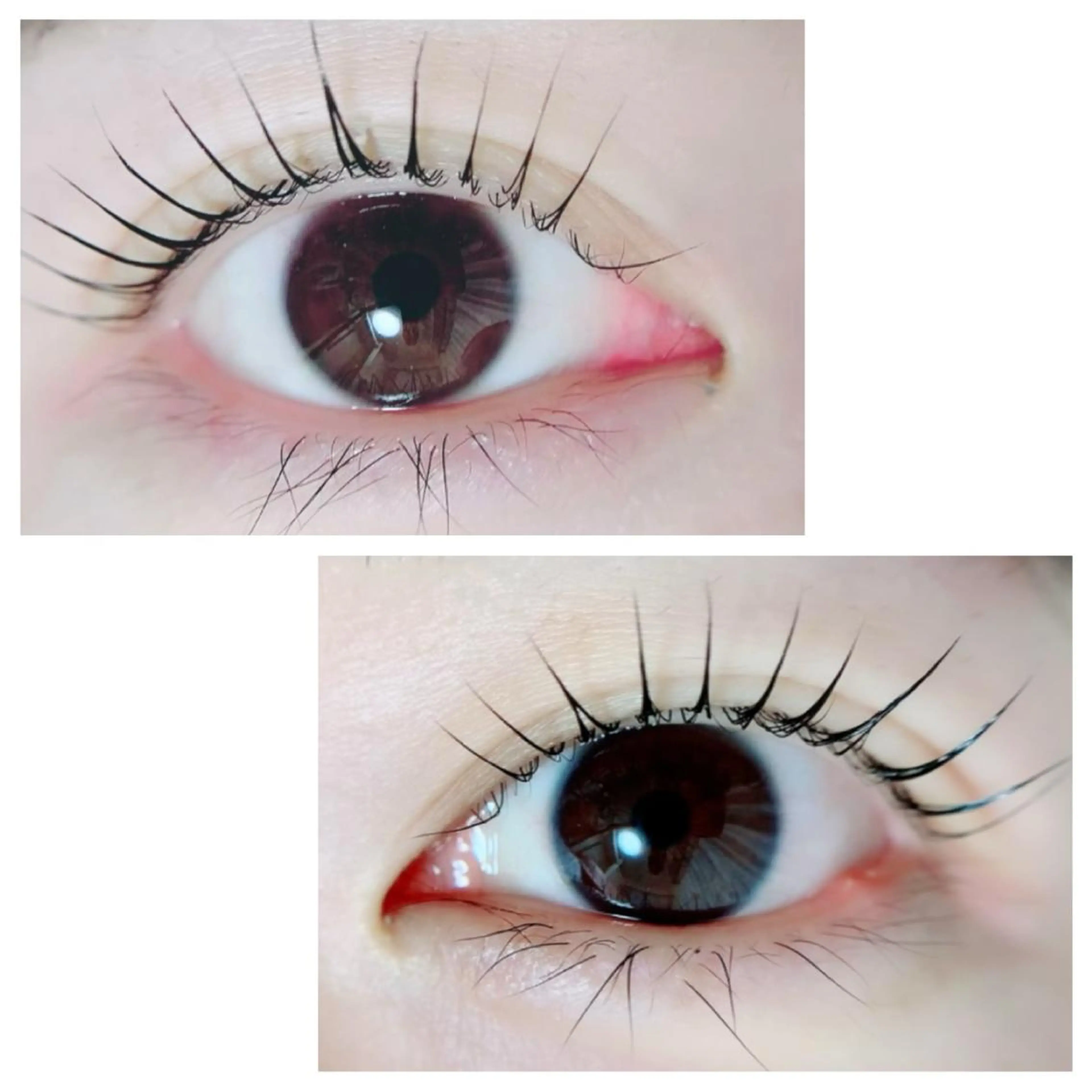 マツエク・マツパ Adorer(アドレ)所属・Adorer 🍀アドレ🍀のマツエク・マツパデザイン