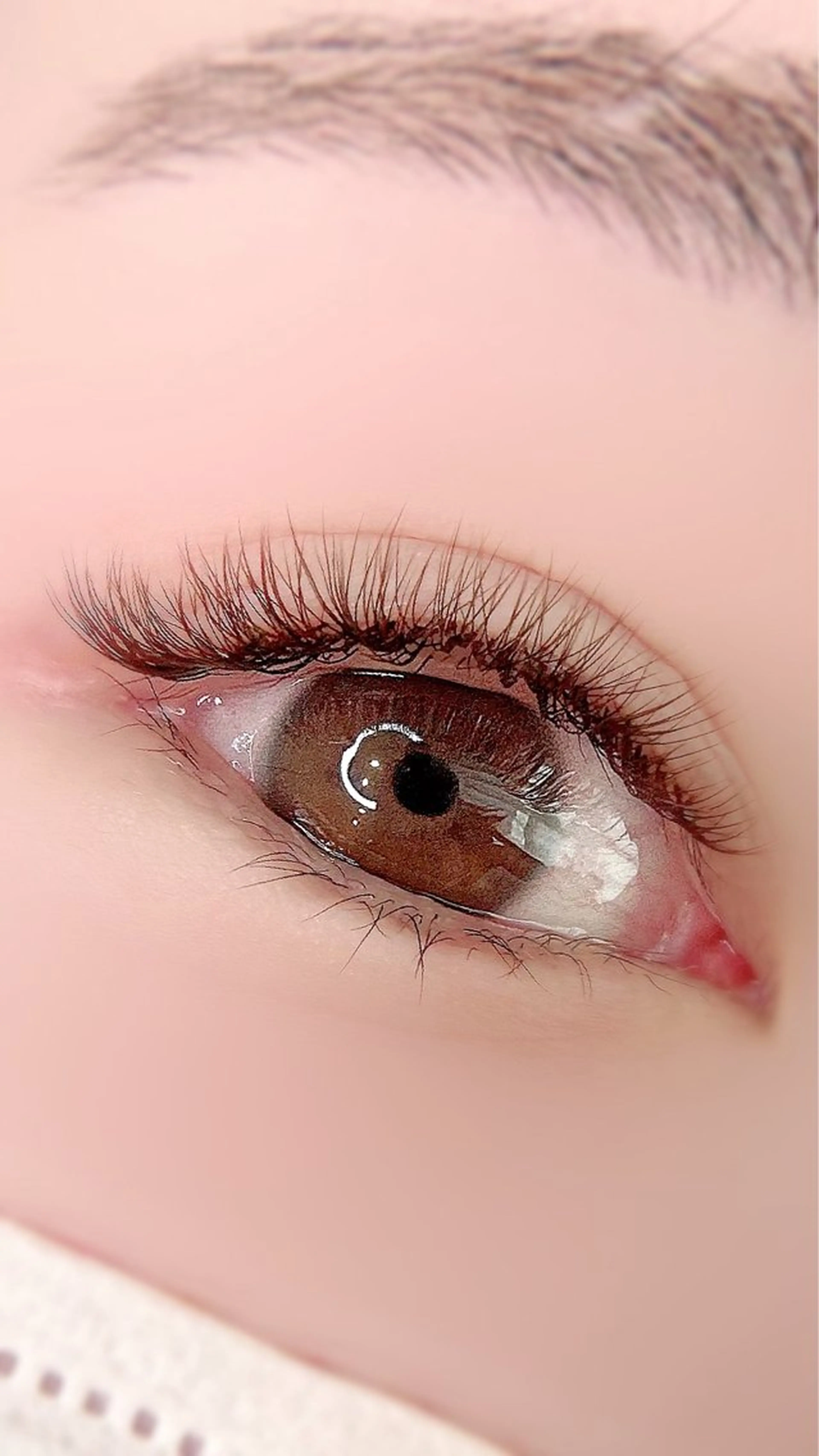 似合わせカウンセリング+ボリュームラッシュ120束の写真