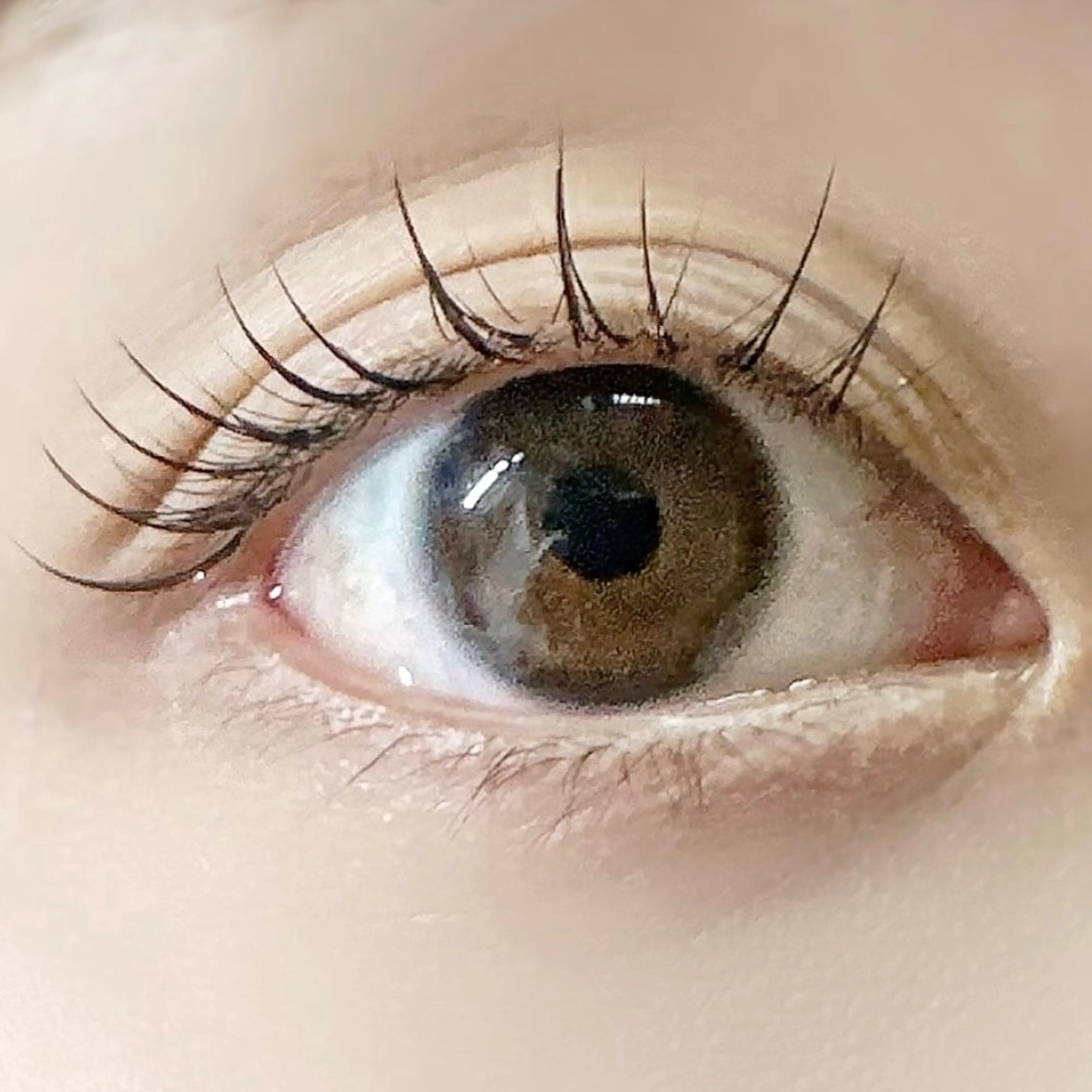 パリジェンヌ➕エクステ(フラットラッシュ)50本の写真