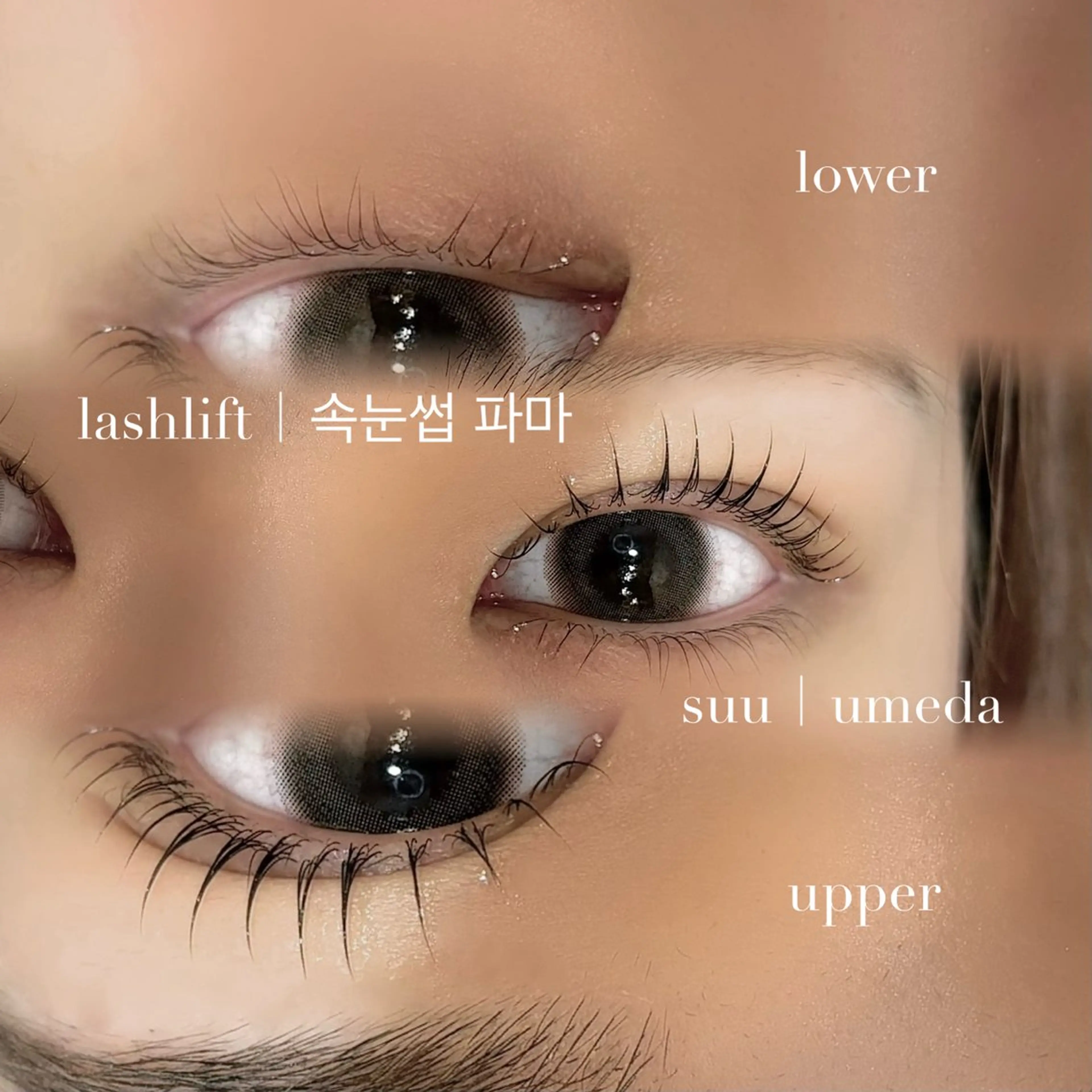 マツエク・マツパ マツパ 韓国束感まつげ｜ MANAMI🧸のマツエク・マツパデザイン