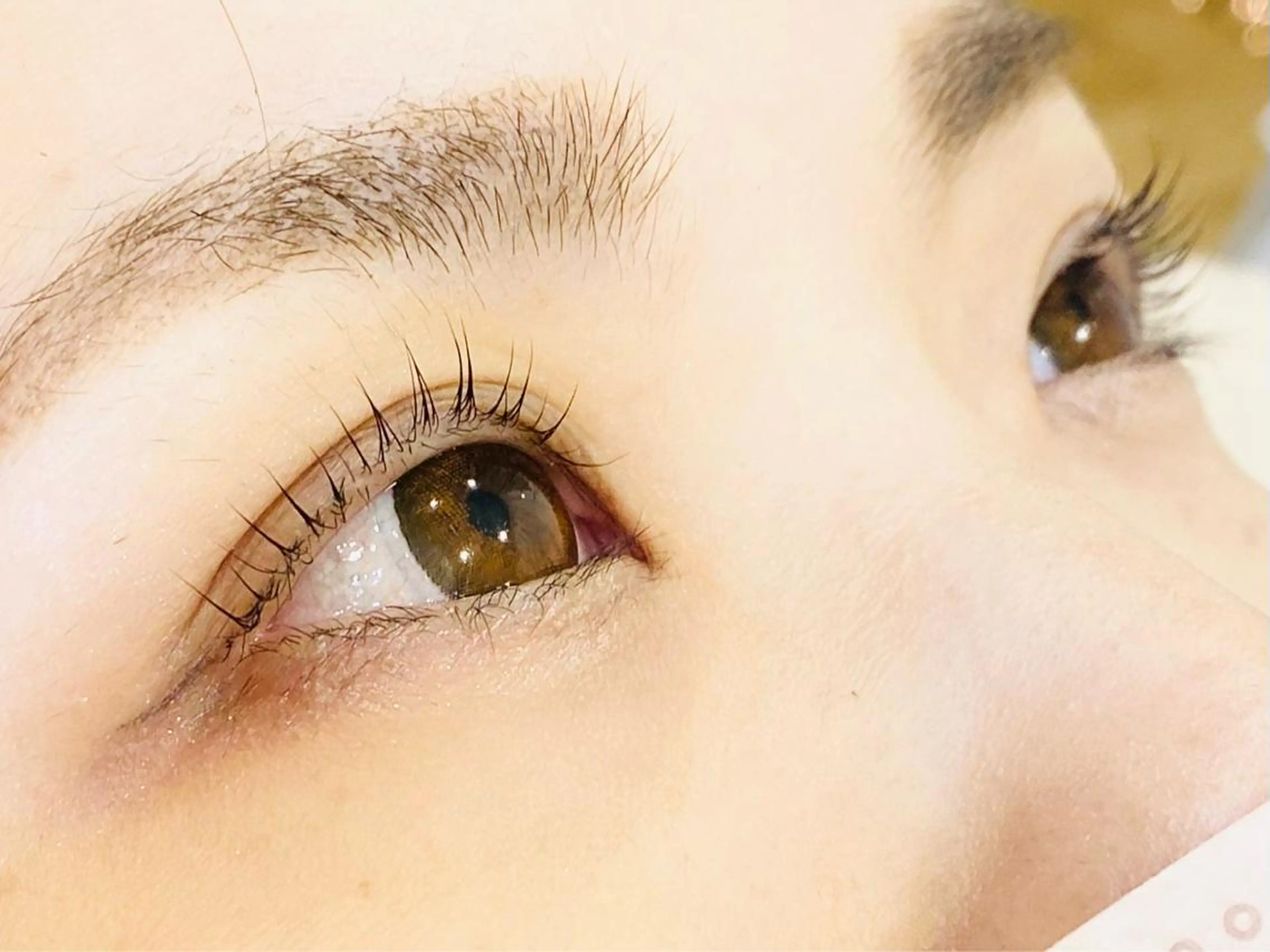 マツエク・マツパ まつげパーマ Dolce eye lash ねごろのマツエク・マツパデザイン