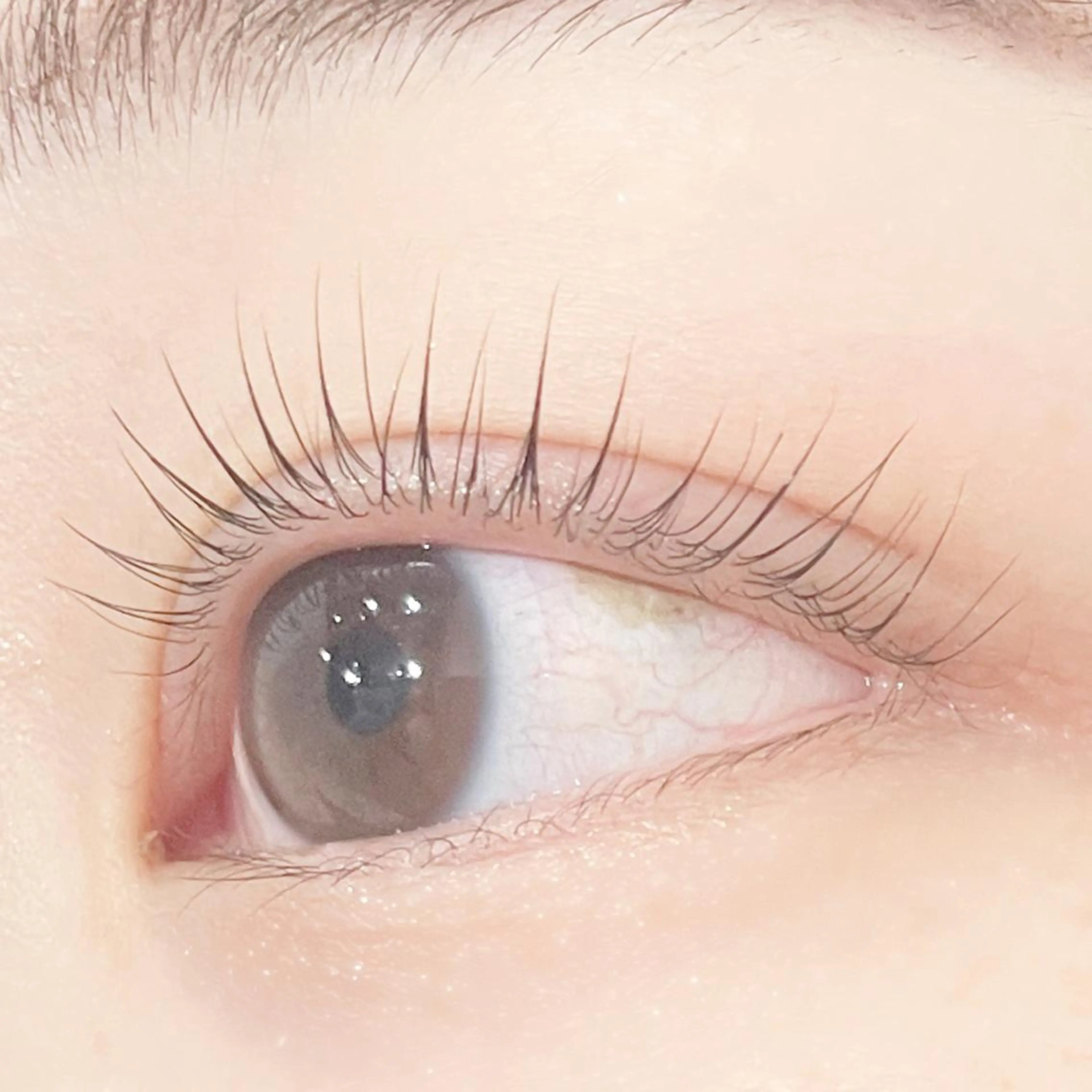 マツエク・マツパ eyelash  salon meme'所属・齋藤 友美のマツエク・マツパデザイン