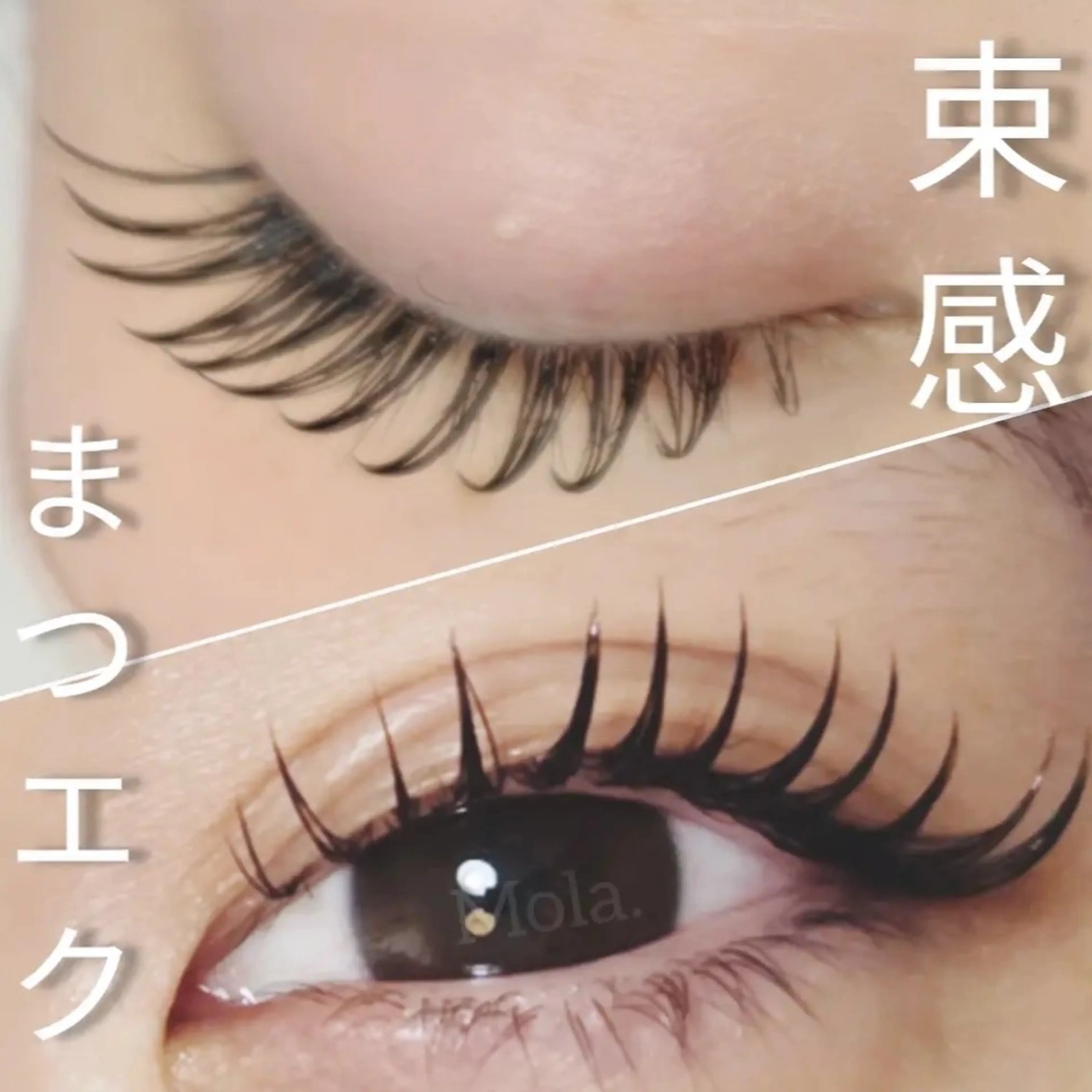 マツエク・マツパ マツエク Mola. eye&beauty salon所属・【Mola.】 eyelashのマツエク・マツパデザイン