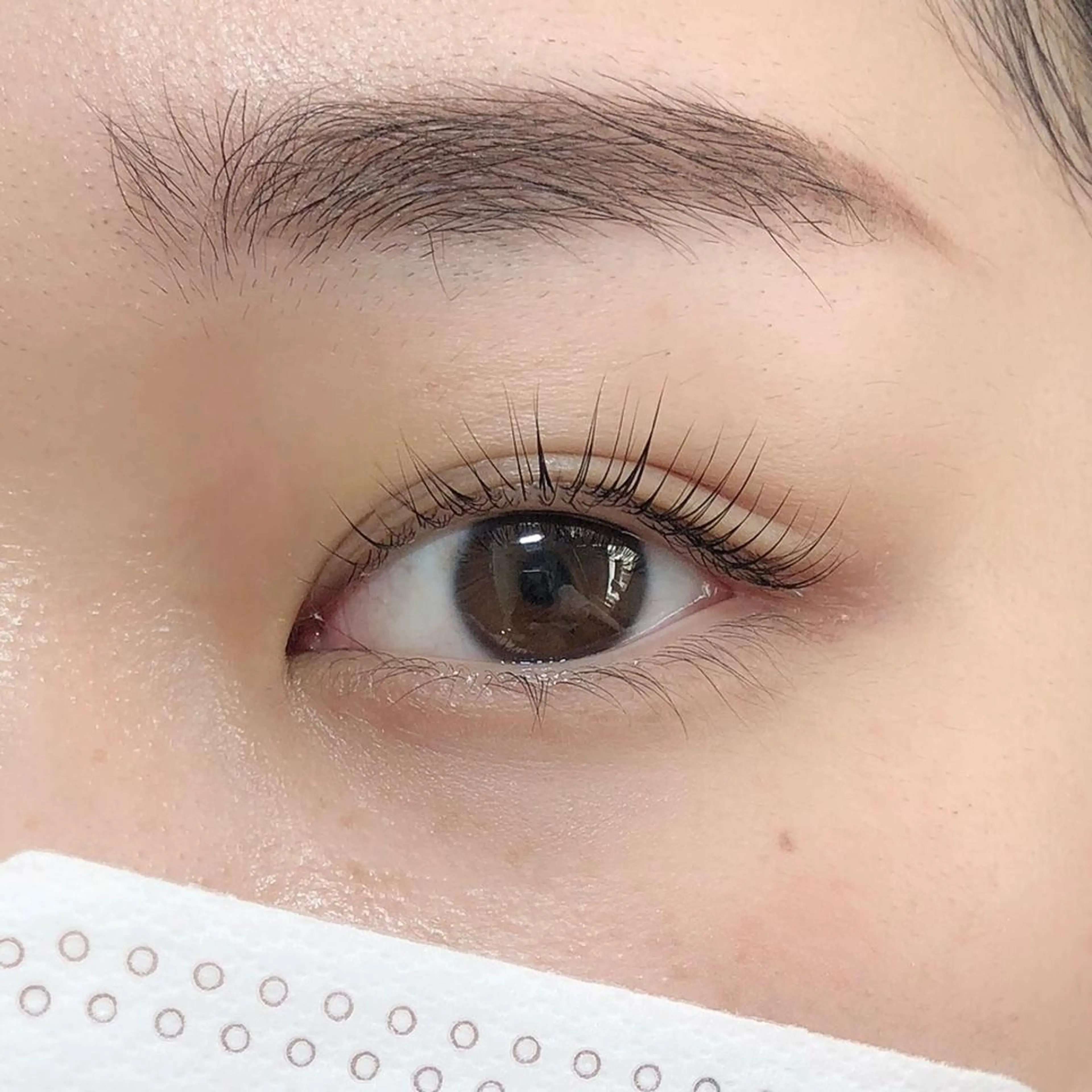 マツエク・マツパ パリジェンヌラッシュリフト 𓍯 Miyaki𓍯のマツエク・マツパデザイン