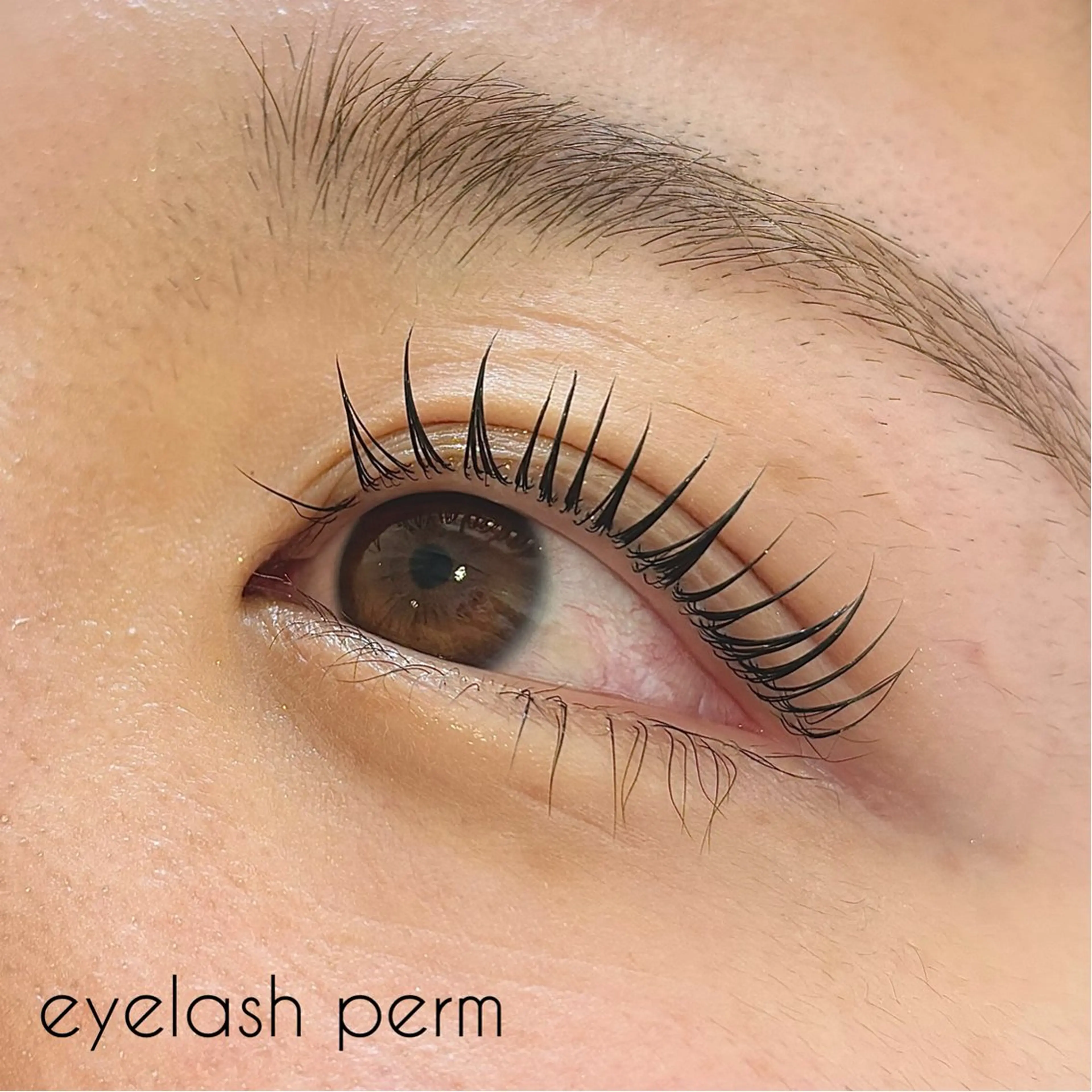 マツエク・マツパ パリジェンヌラッシュリフト ✧elpatio✧︎ 小出紗羅のマツエク・マツパデザイン