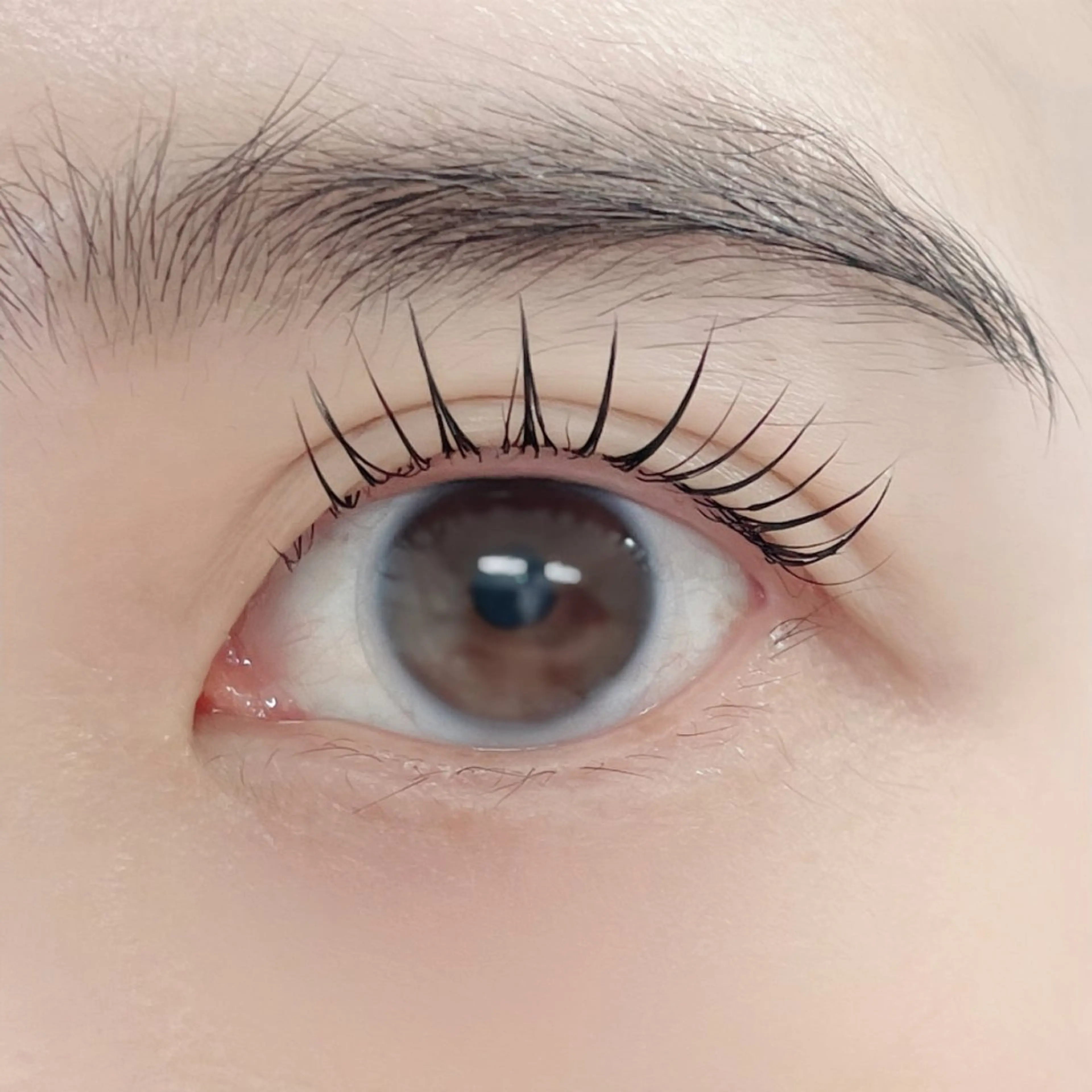 マツエク・マツパ マツパ GO TODAY シェアサロン 銀座Eclara店所属・mihiro 銀座まつぱﾏﾂｴｸ眉のマツエク・マツパデザイン