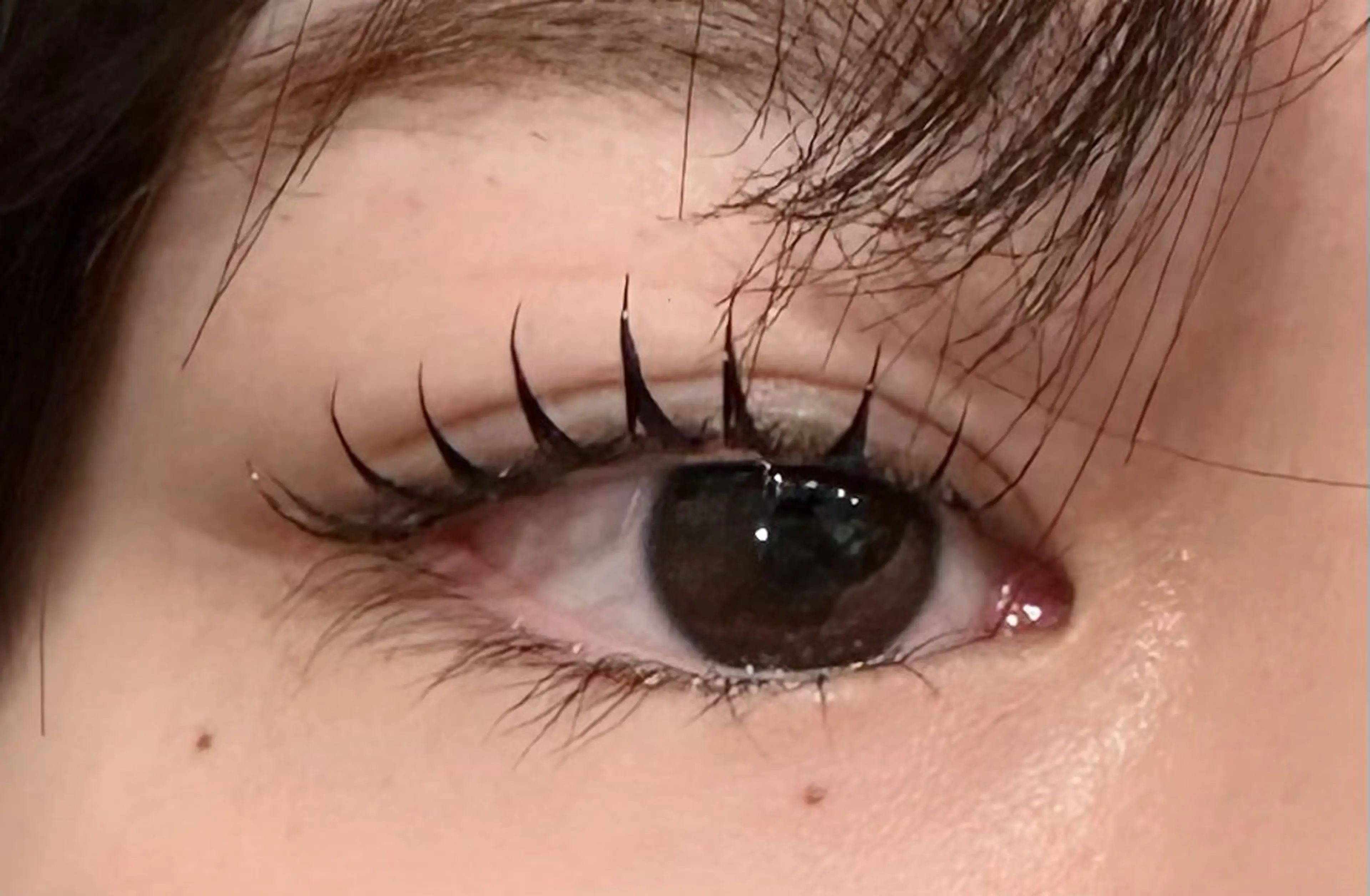 マツエク・マツパ dearbeauty plusのマツエク・マツパデザイン