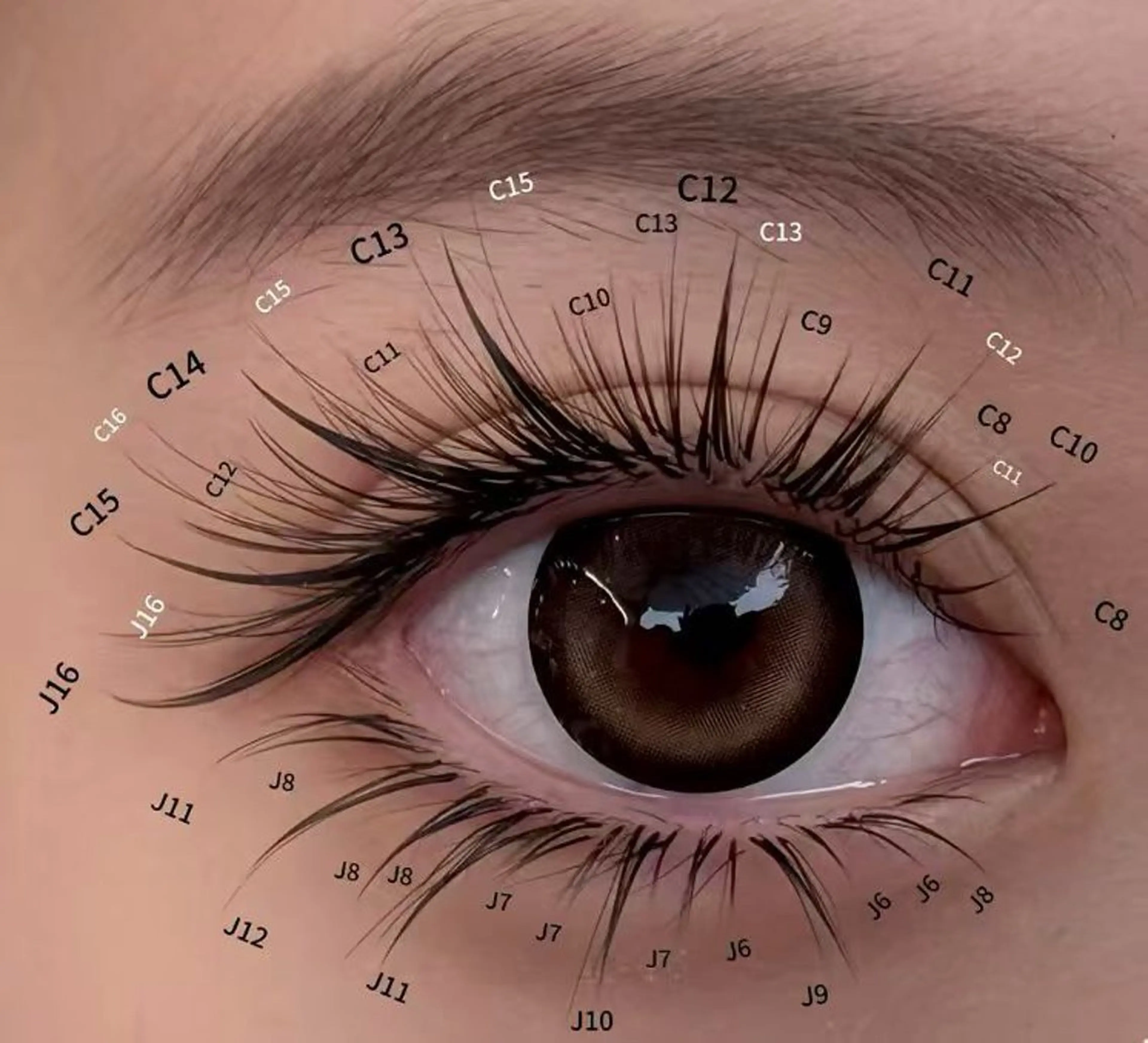 マツエク・マツパ Angelic Hira ♥🧸のマツエク・マツパデザイン