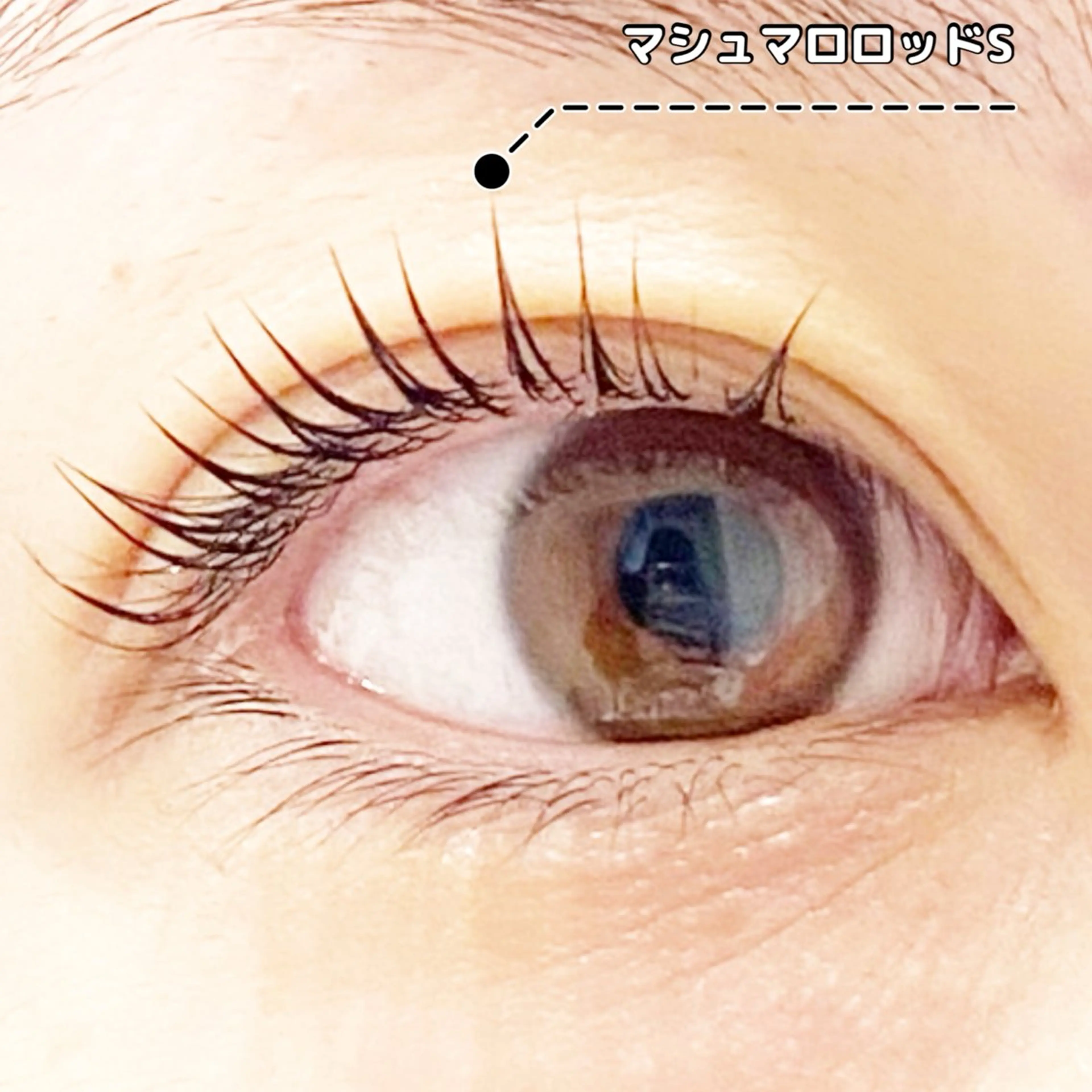 マツエク・マツパ パリジェンヌラッシュリフト まつげパーマ LC尾張旭店所属・LC尾張旭店🫧 いしいのマツエク・マツパデザイン