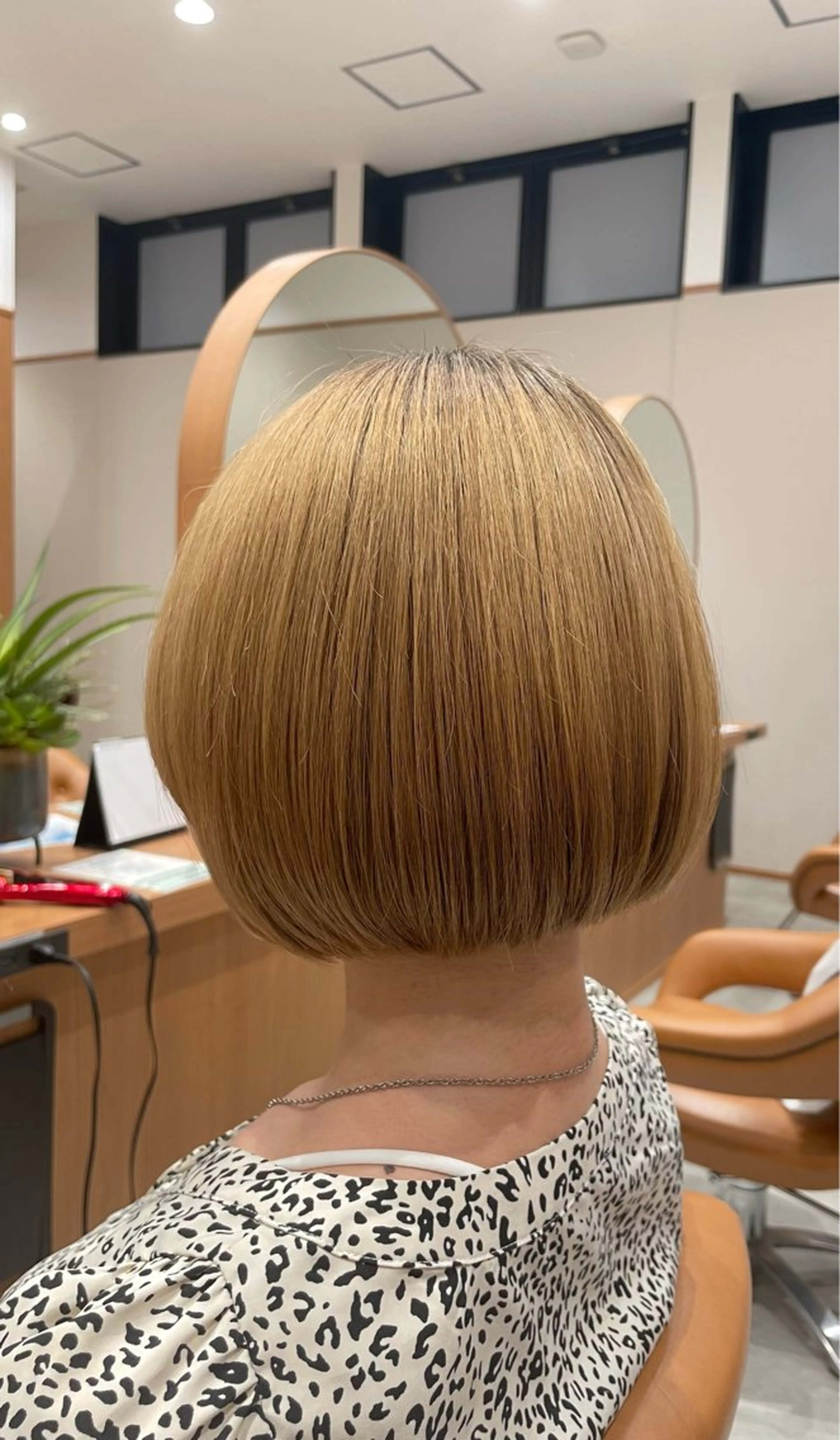 【レディース】モデルカットの写真