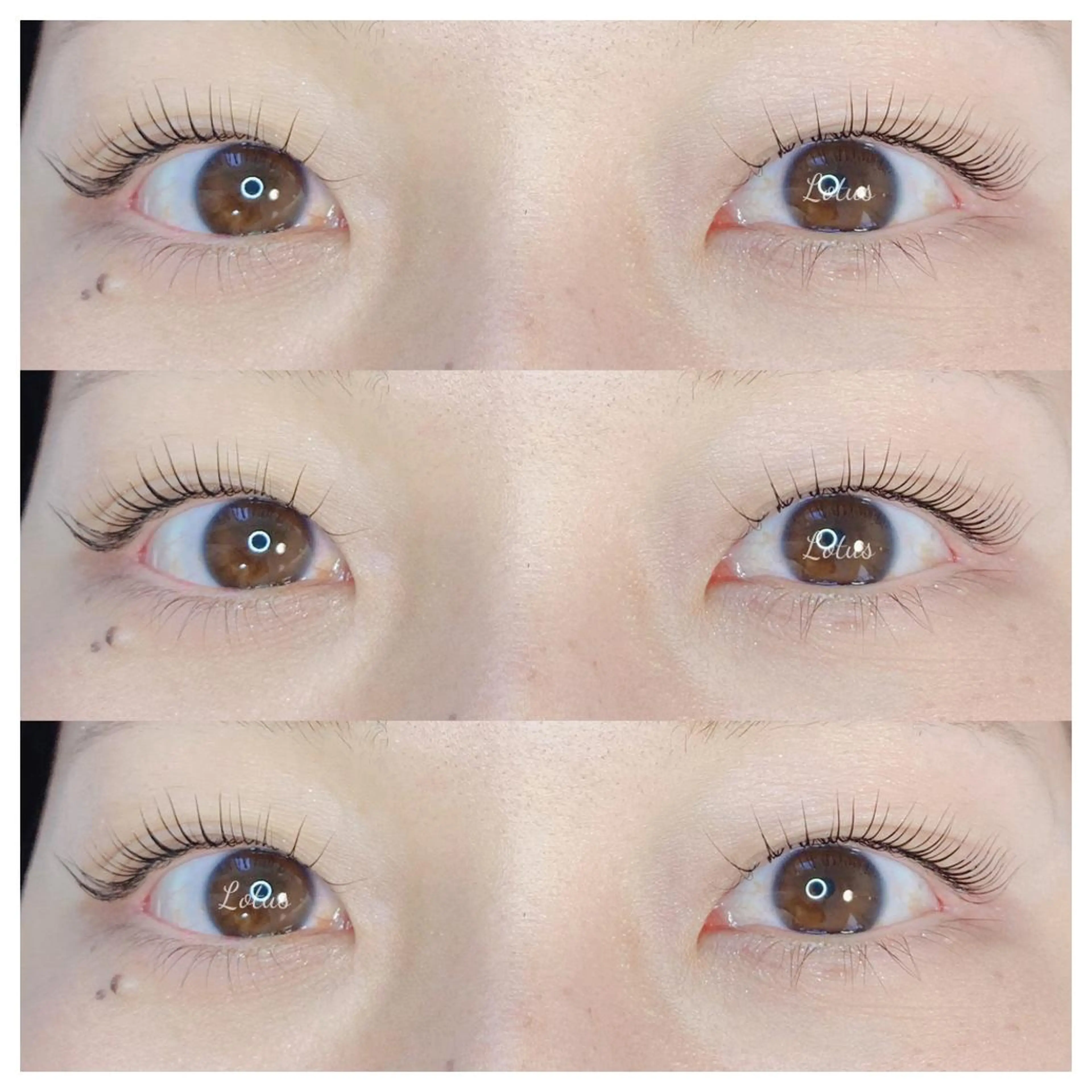 マツエク・マツパ マツパ Lotus所属・Lotus ロータスのマツエク・マツパデザイン