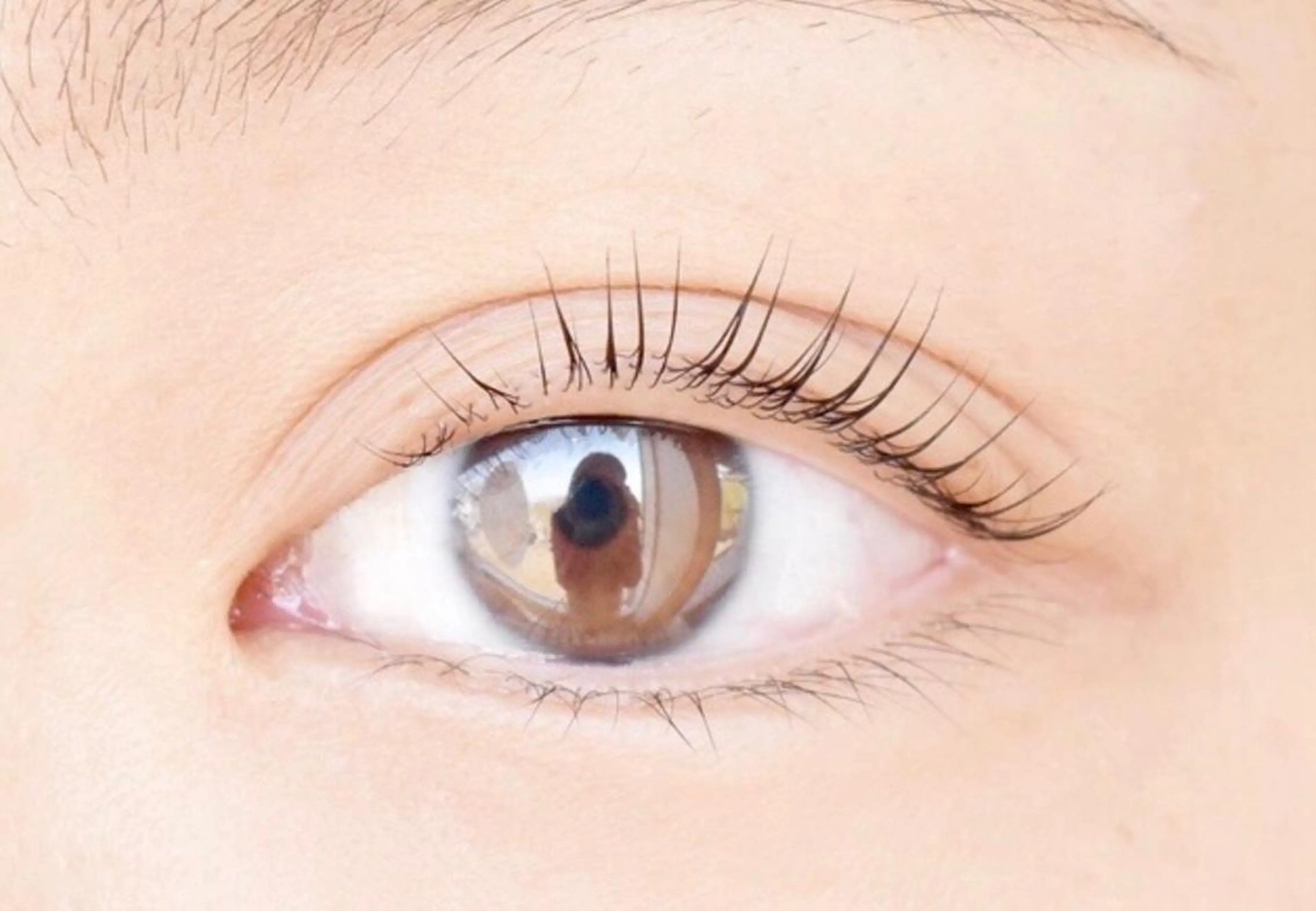 ⭐️高持続ダメージレスパリジェンヌラッシュリフト⭐️コーティング仕上げ付き✨の写真