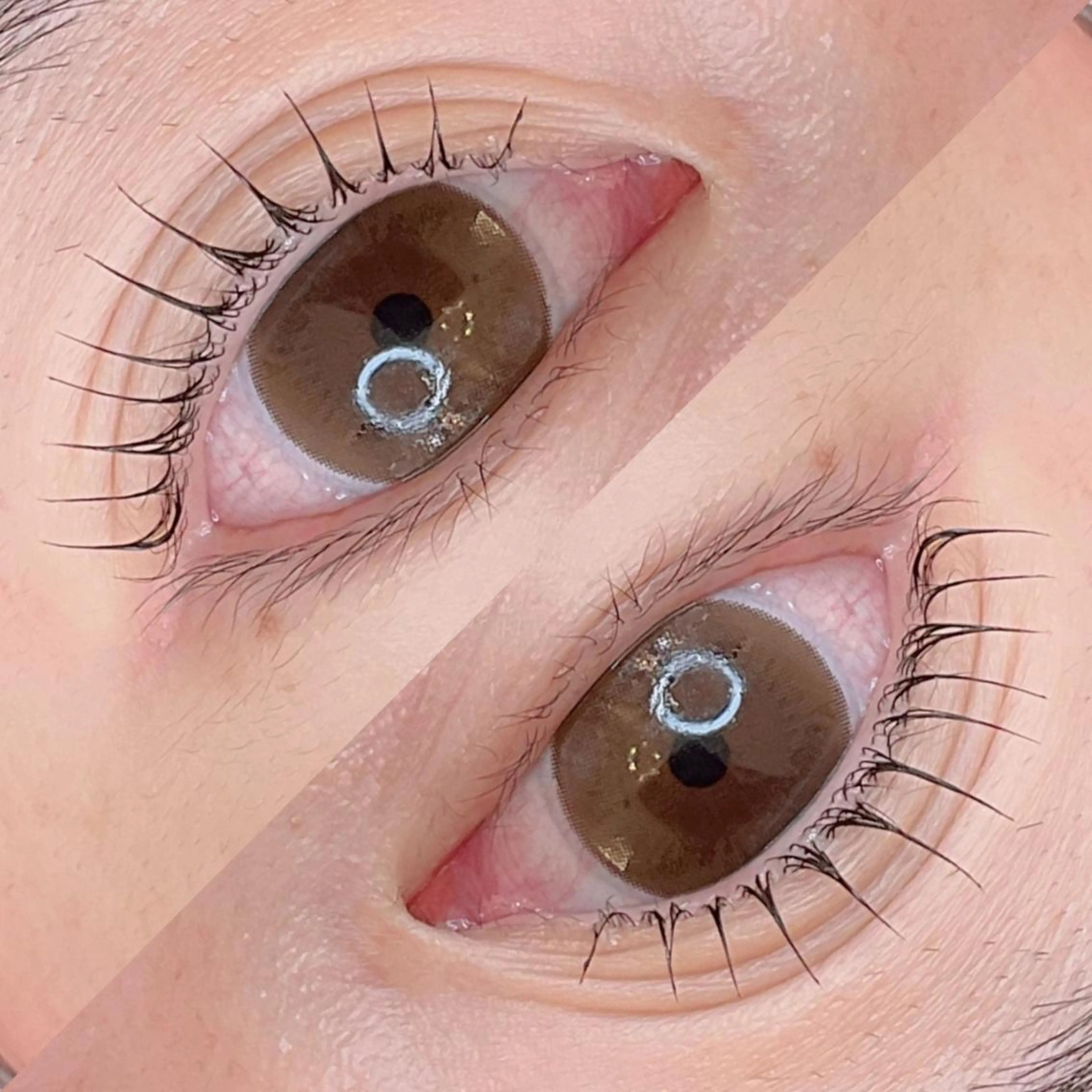 マツエク・マツパ カラーマツエク RoseLash【青山一丁目徒歩1分】表参道所属・パリジェンヌ/まつパ RoseLashのマツエク・マツパデザイン