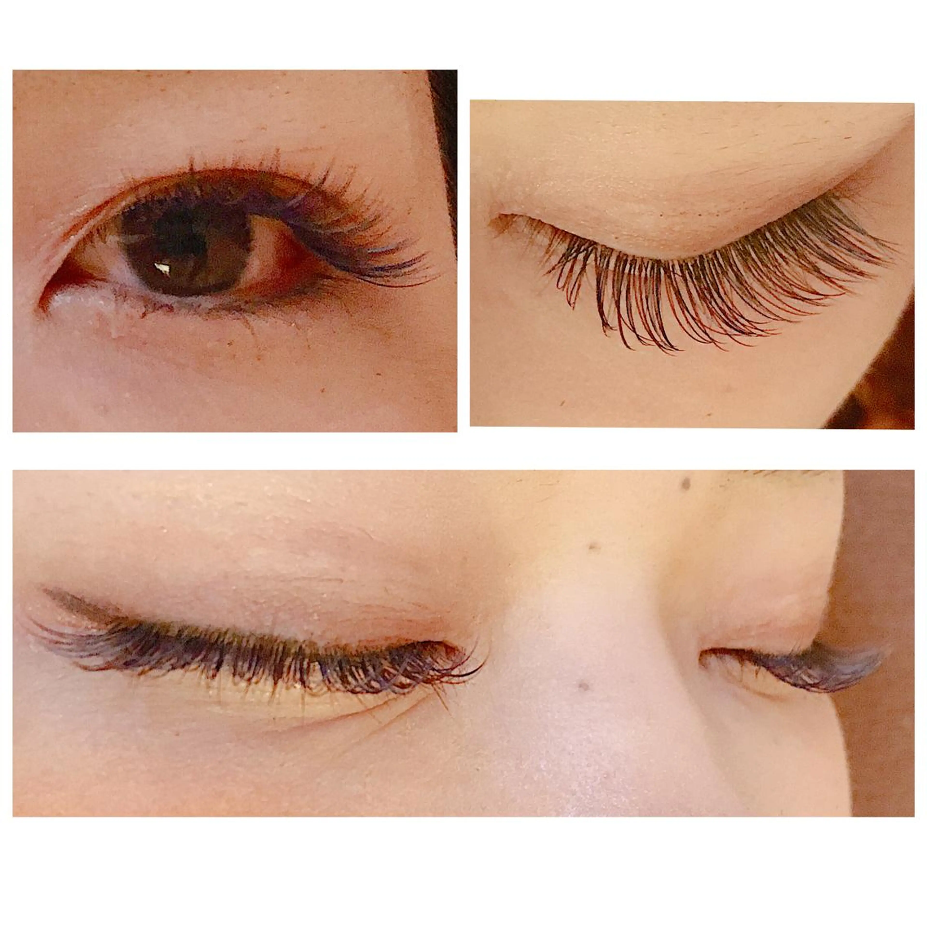 マツエク・マツパ カラーマツエク Jカール マツエク corona hair design所属・yu kiのマツエク・マツパデザイン