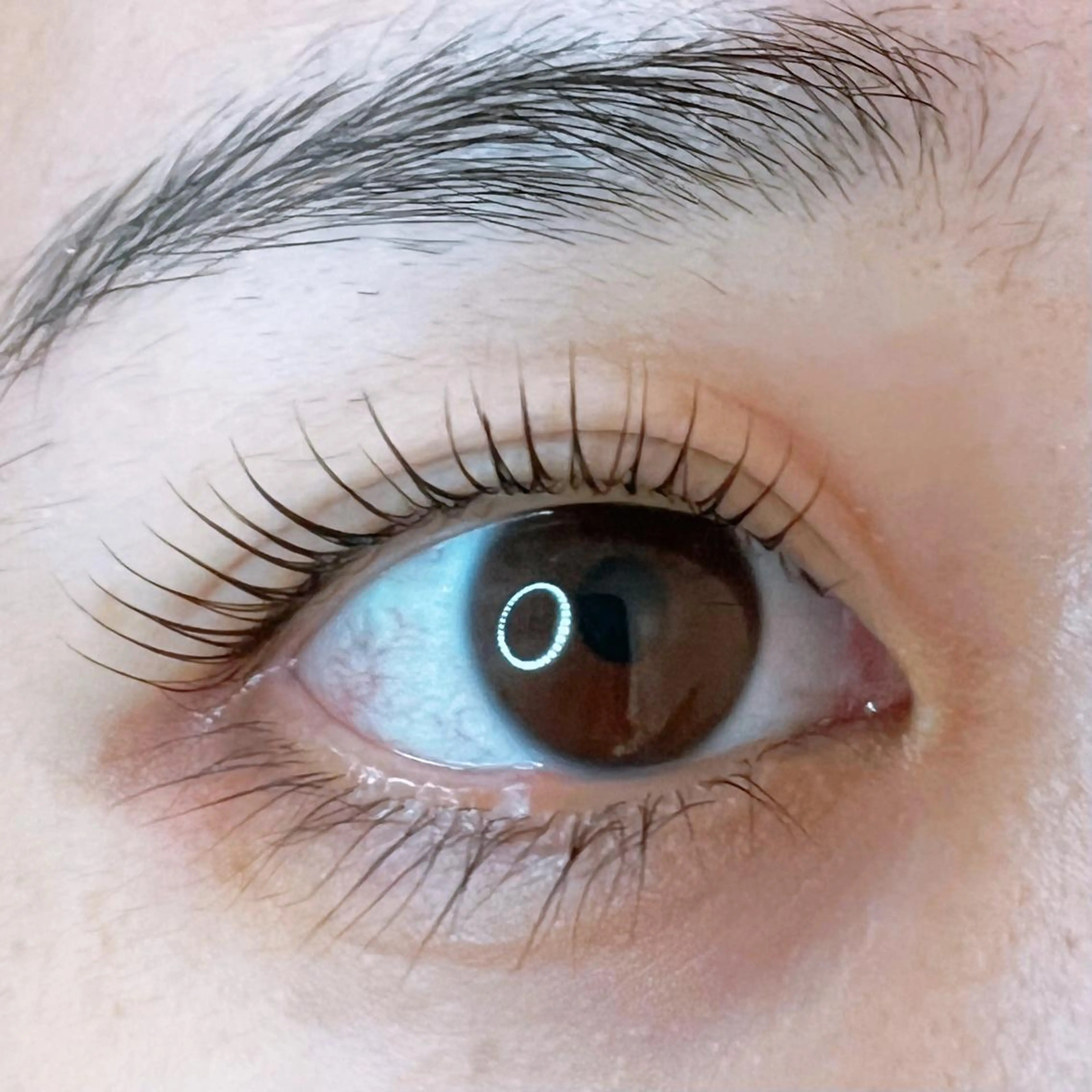 マツエク・マツパ JESSICA荻窪 川窪のマツエク・マツパデザイン