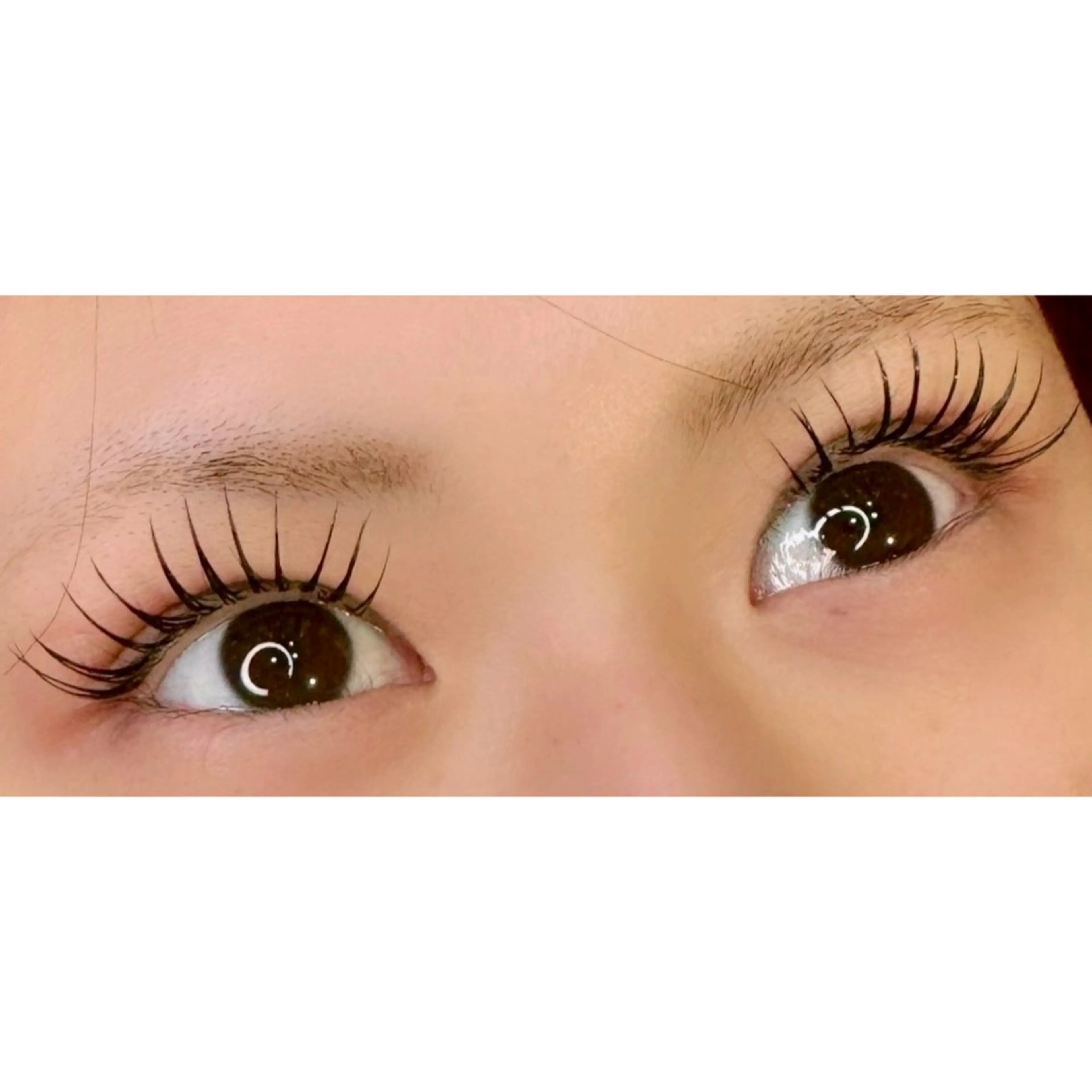 Wフラットラッシュ 50束の写真