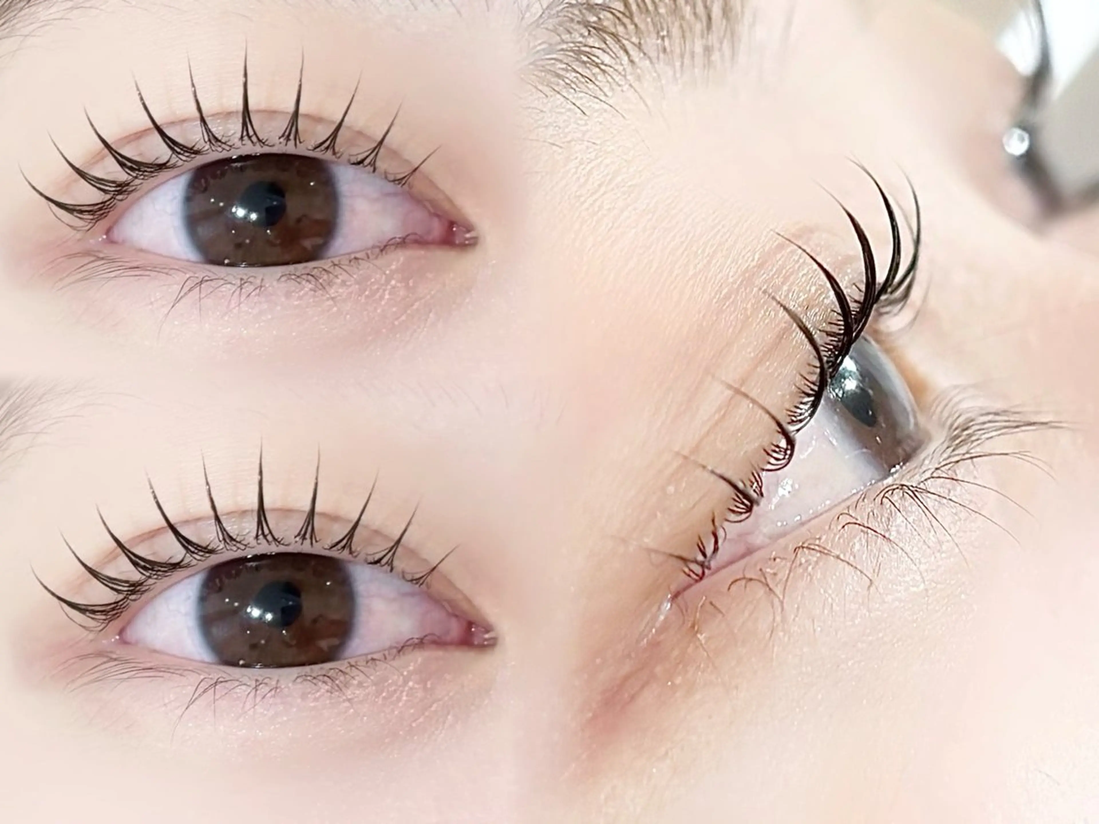 オフなし🌸ラッシュリフト🌸コーティング仕上げ✨の写真