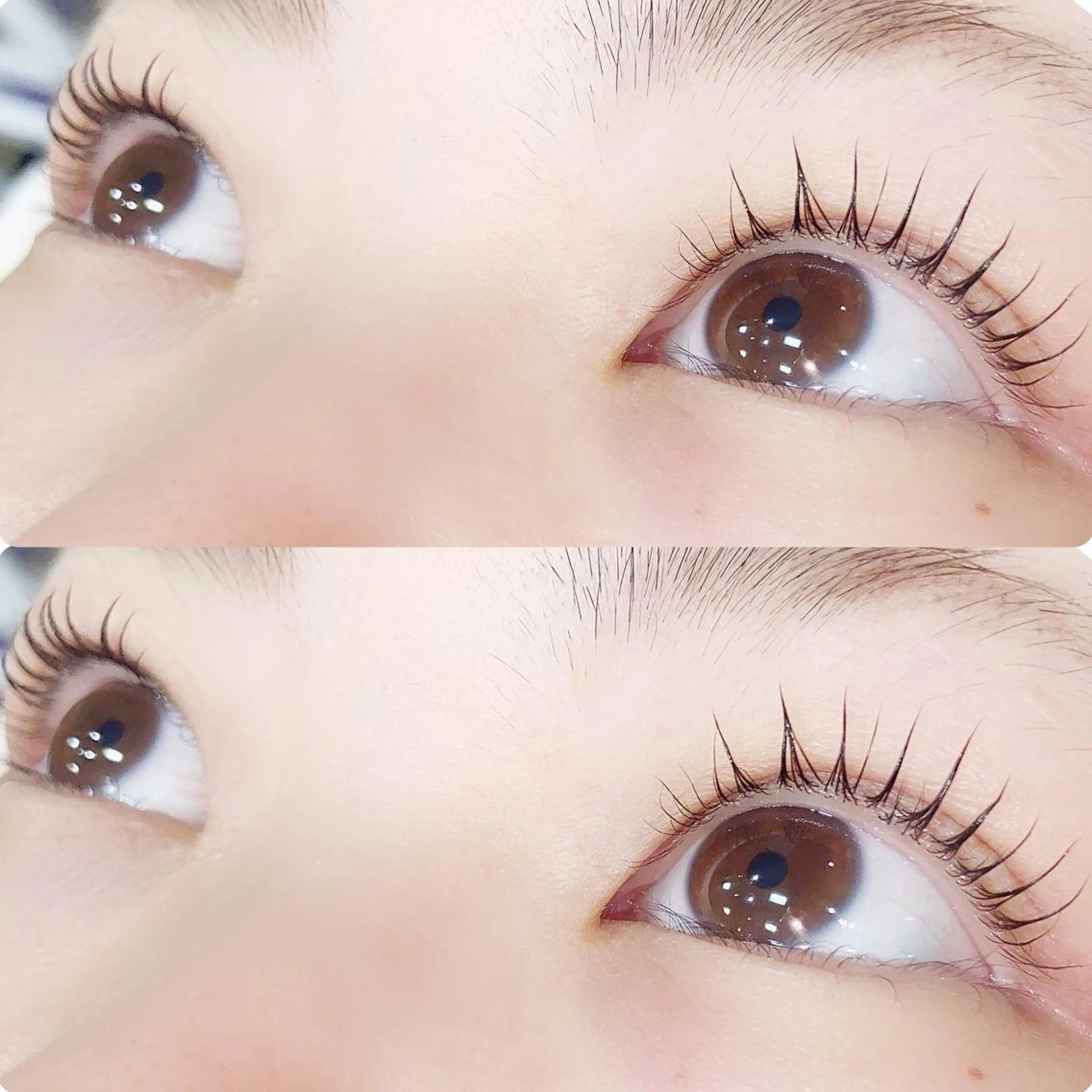 マツエク・マツパ Cカール マツパ hikari 🌻*.ﾟのマツエク・マツパデザイン