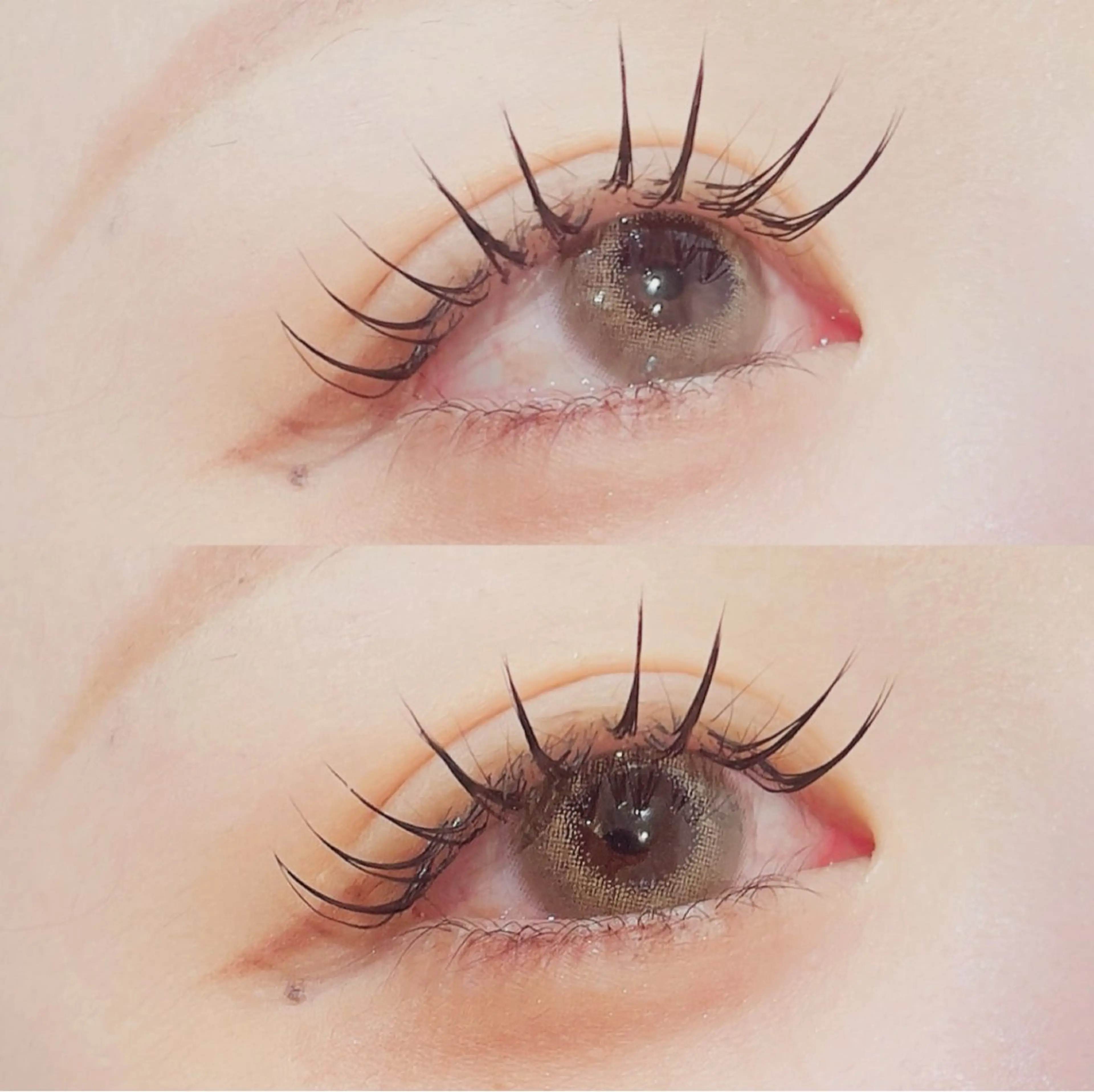 マツエク最大100本🪄オフ、コーティング込みの写真