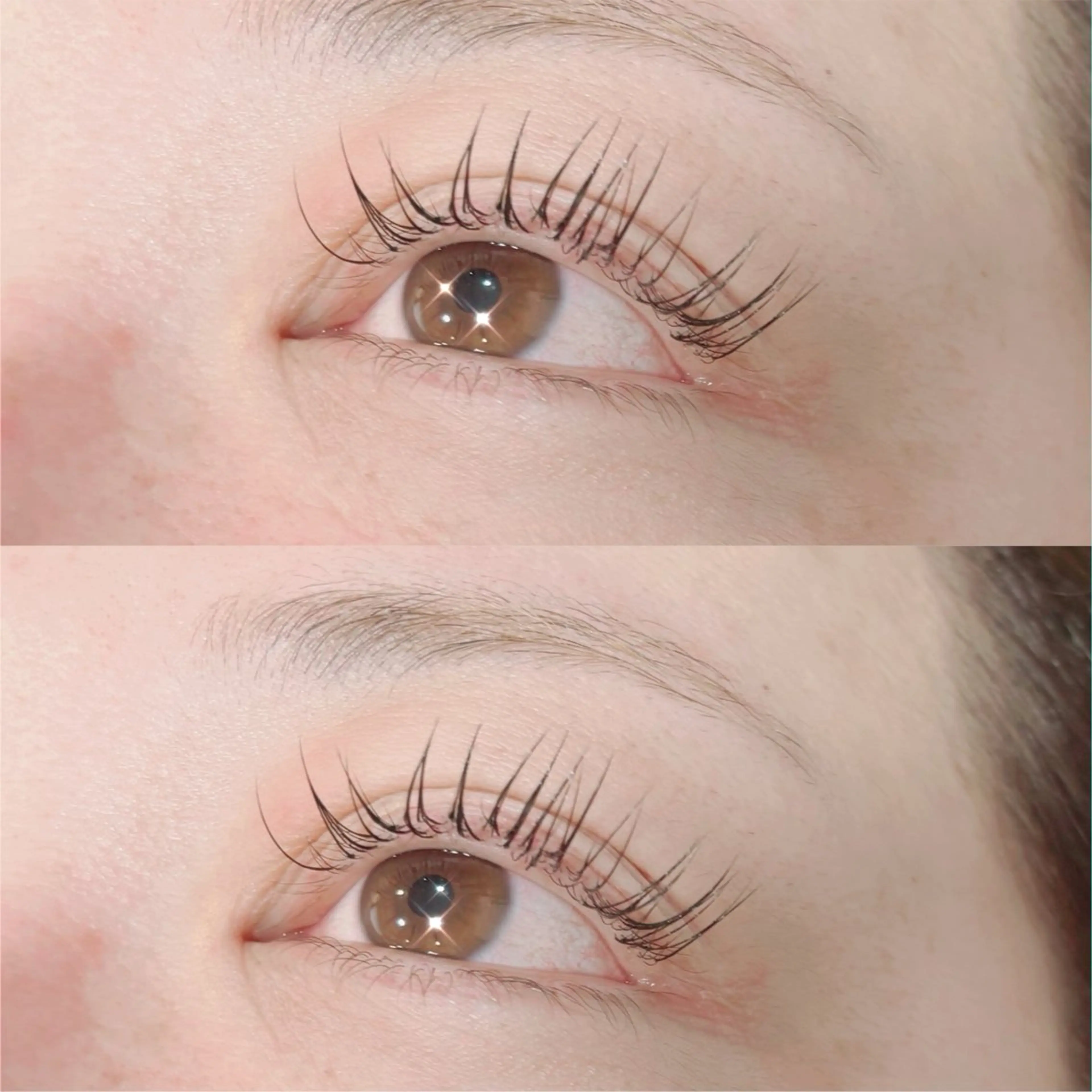 マツエク・マツパ mayu. eyelash🌸のマツエク・マツパデザイン