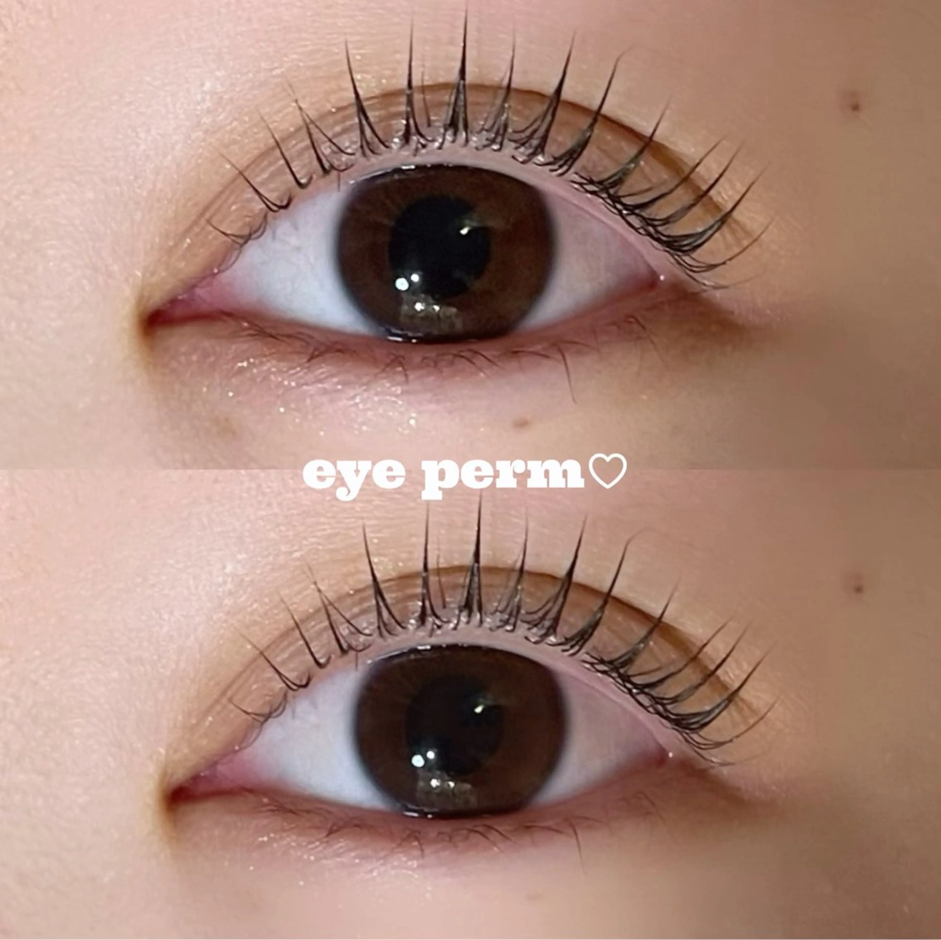 マツエク・マツパ マツパ Mon mignon ෆ‪momokaのマツエク・マツパデザイン