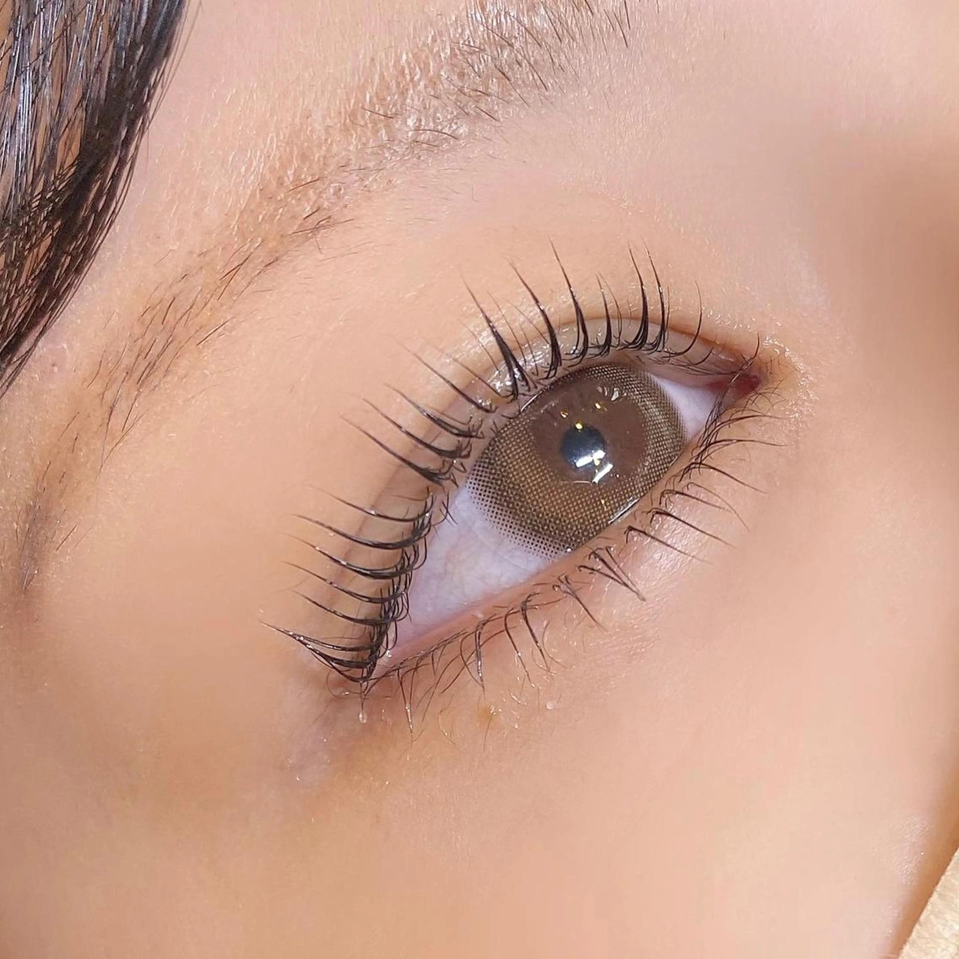 マツエク・マツパ Cカール 下まつげエクステ 一重×まつ毛パーマ 🪽yoshino miku 🩵のマツエク・マツパデザイン