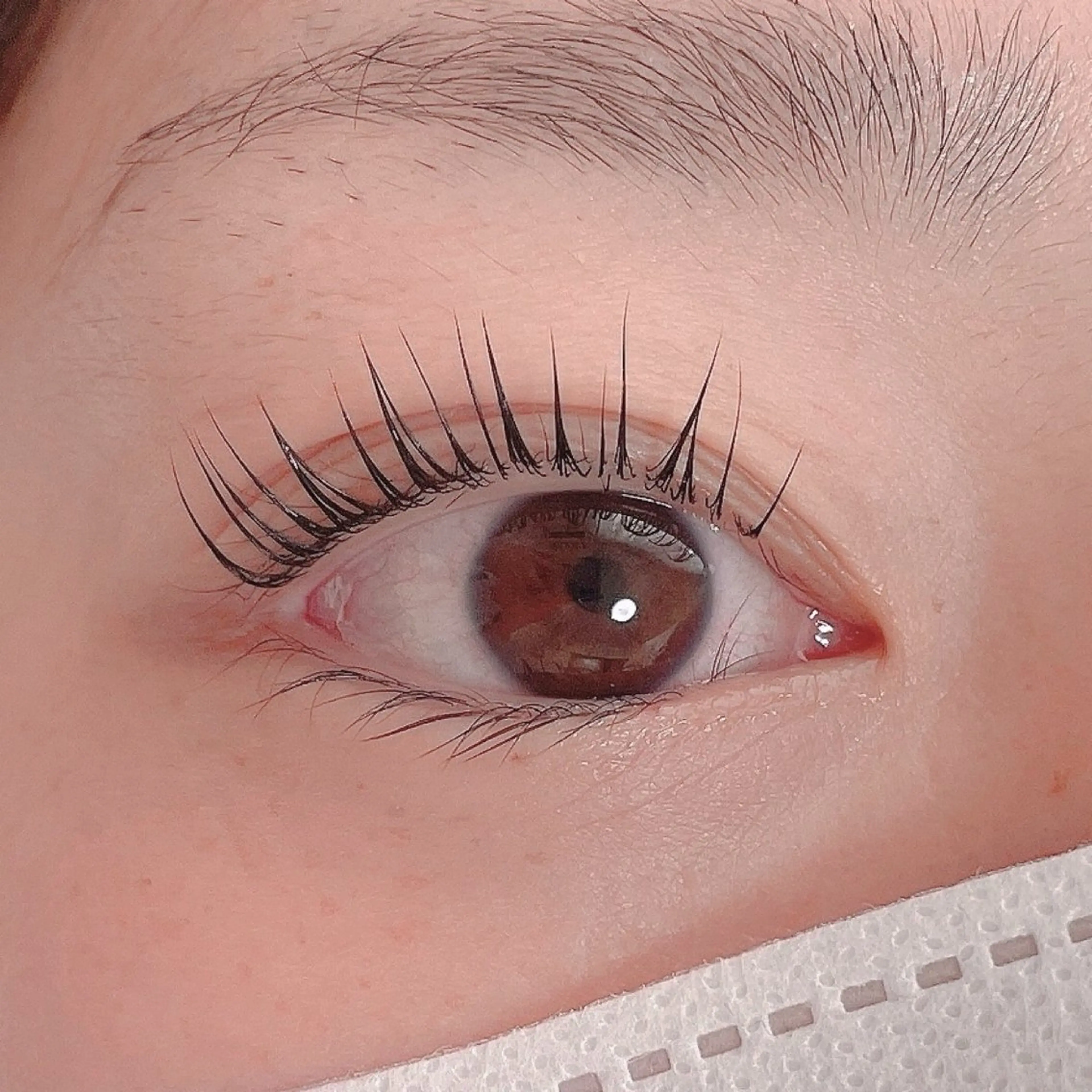 マツエク・マツパ マツパ 🌼ひとみ 🌼束感/韓国まつパのマツエク・マツパデザイン