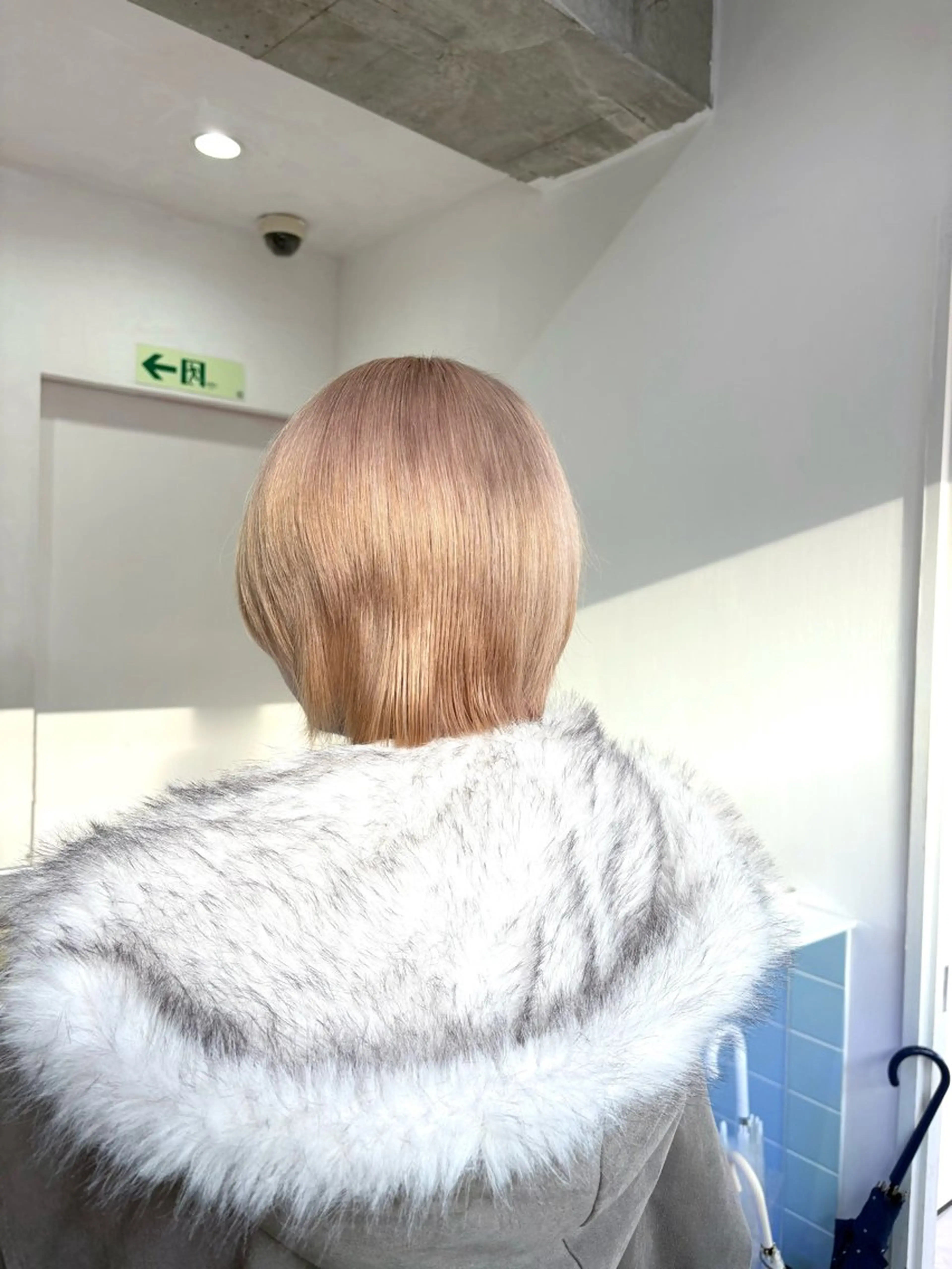 ショート カラー ヘアカラー トリートメント 美優🦕ツヤ髪 /ハイトーン🩶のヘアスタイル