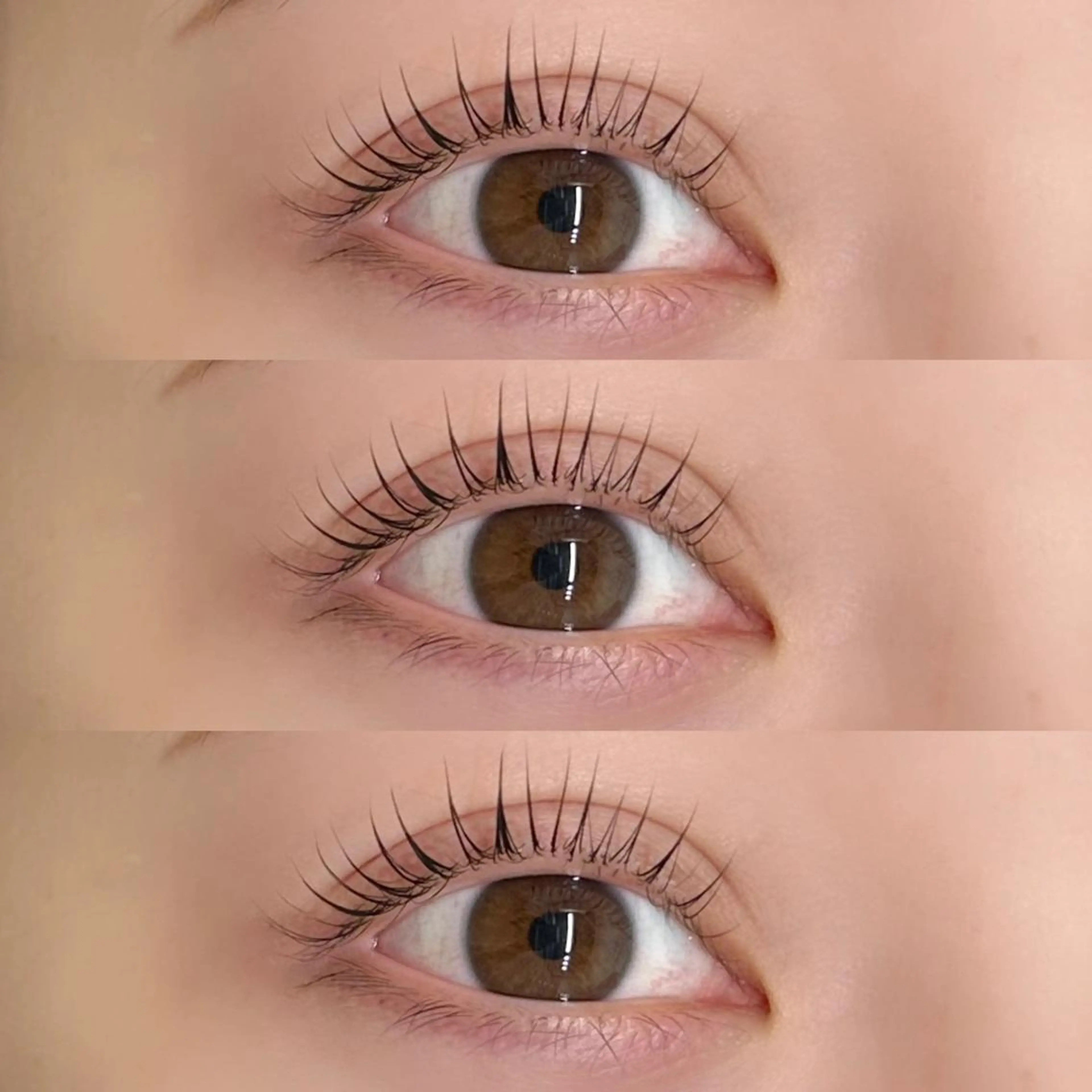 マツエク・マツパ O'L所属・Eyelash & Eyebrowのマツエク・マツパデザイン