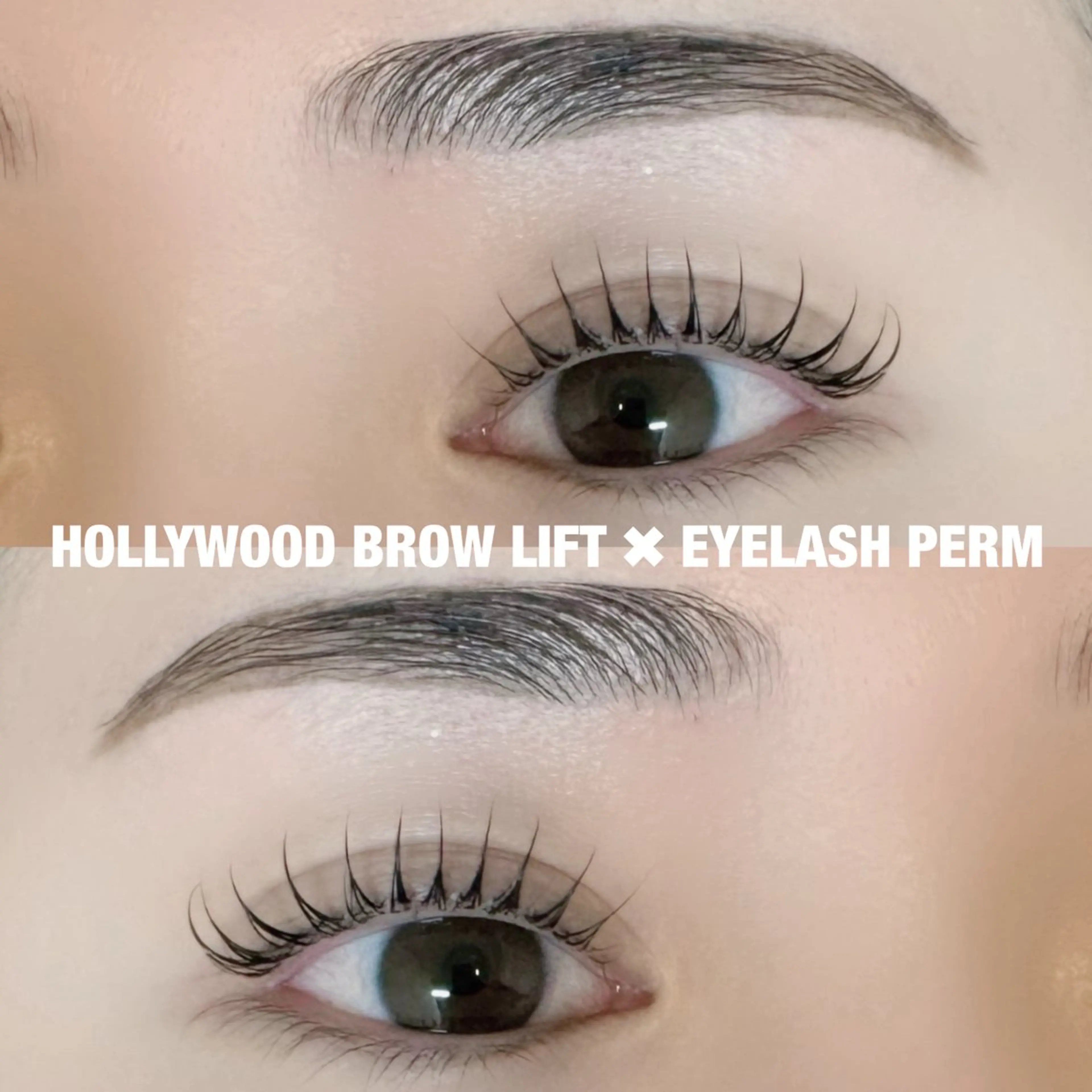 【ご新規様限定】ハリウッドブロウリフト&まつ毛パーマ（パリジェンヌに変更＋¥500）⭐️の写真