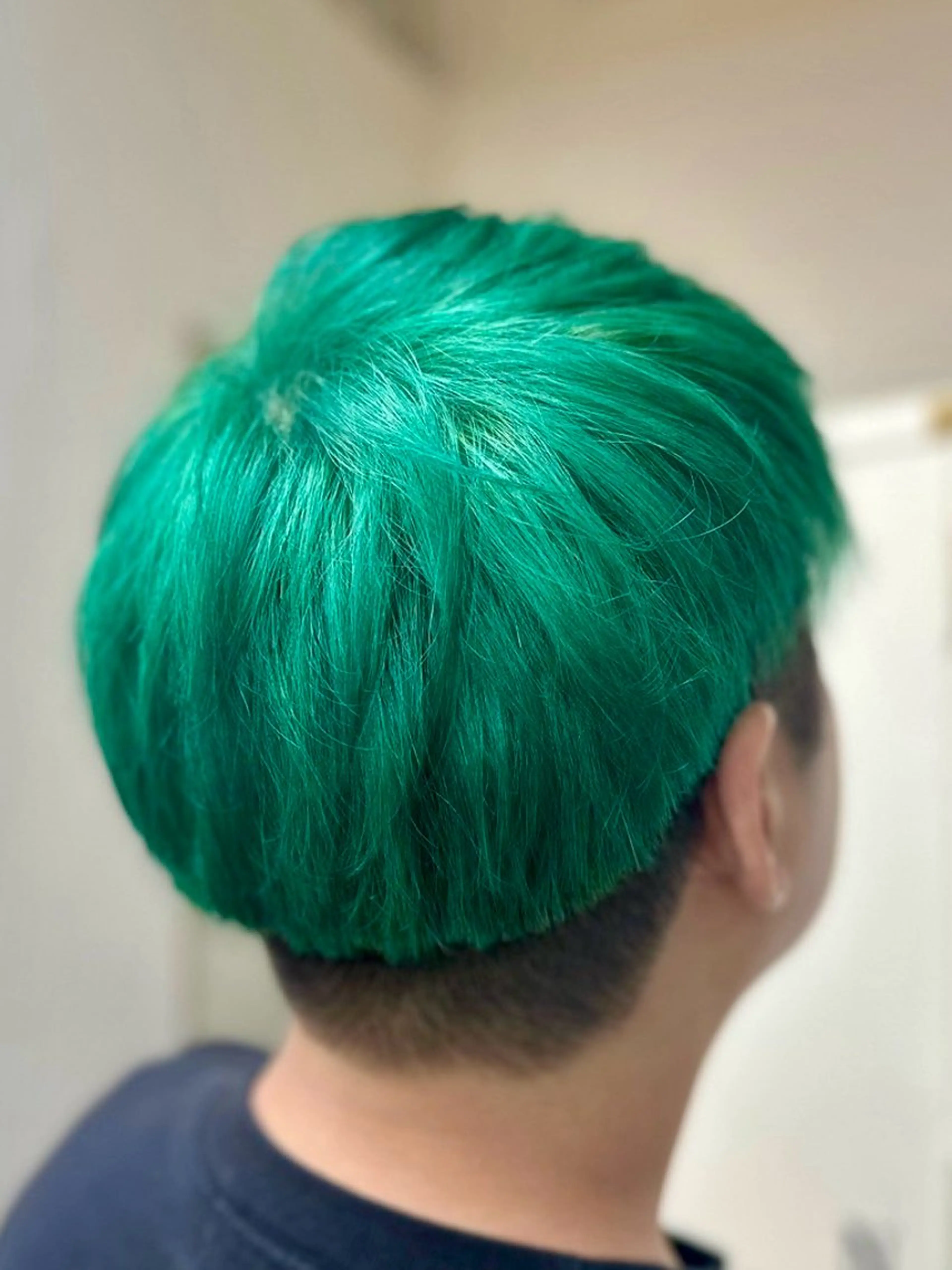 カラー 八馬 那由多のヘアスタイル